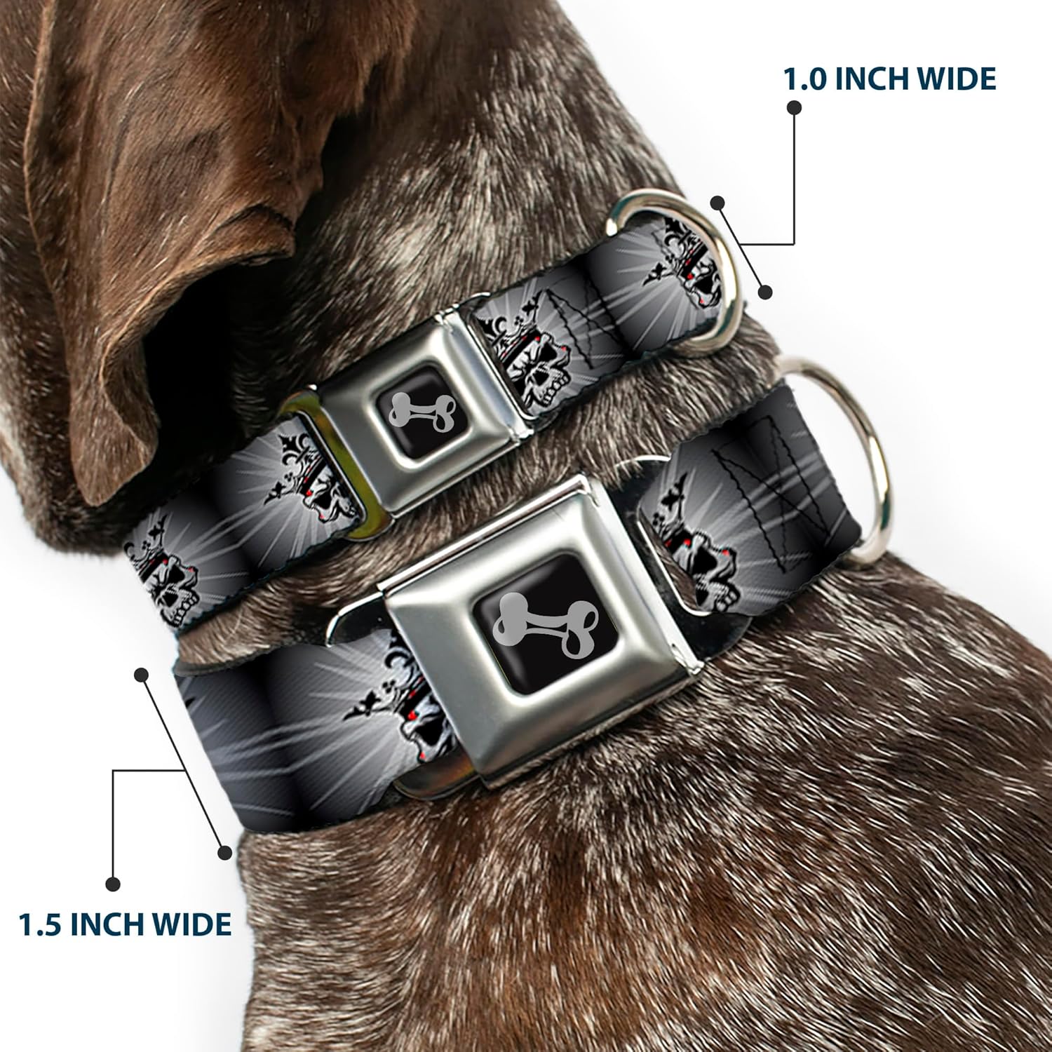 Buckle-Down Dog Collar Seatbelt Buckle King Skull Blocks Rays Grays Available In Adjustable Sizes For Small Medium Large Dogs, 1.5" Wide - Fits 18-32" Neck - Large