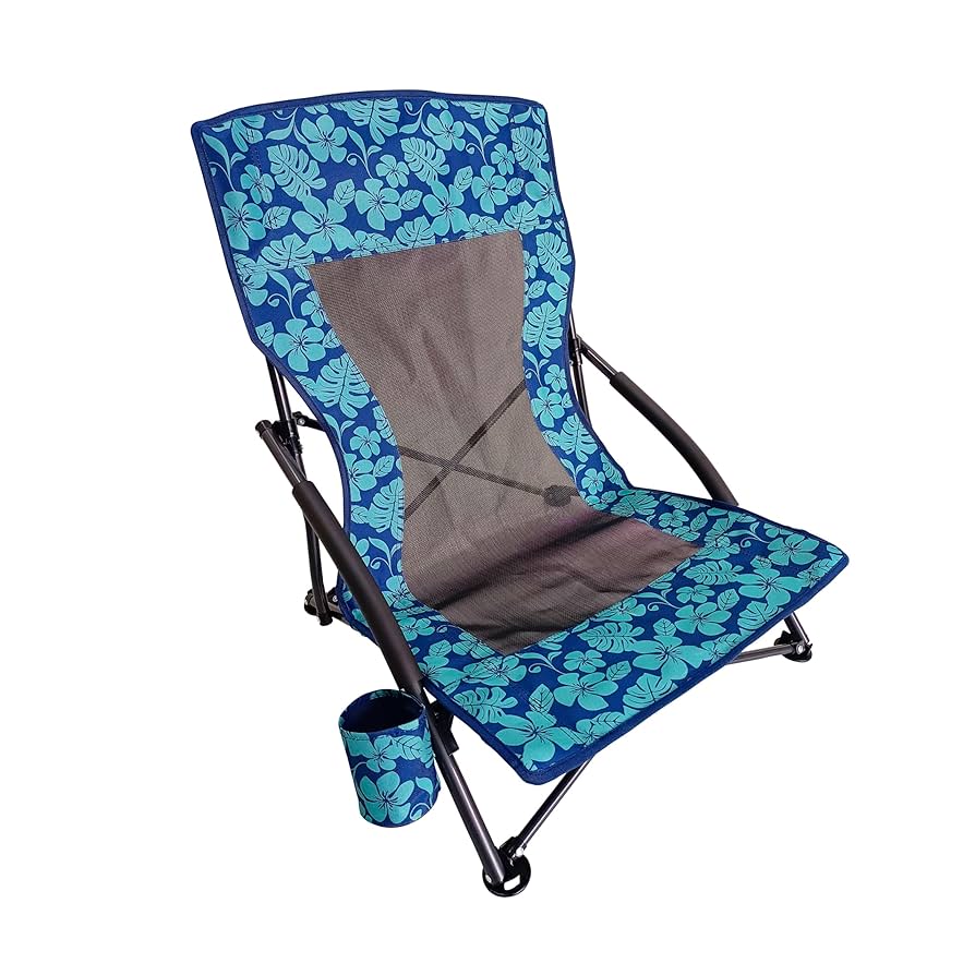 Amazon.com : Bliss Hammocks BBC-353-BF Collapsible Beach