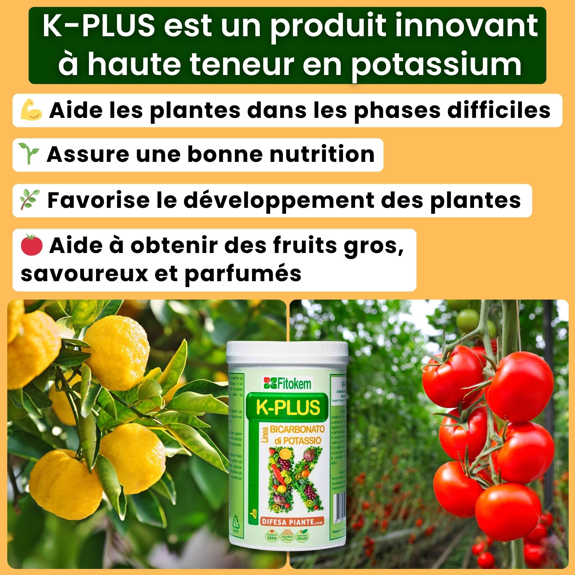 FITOKEM K-Plus 1KG - Engrais et Fertilisants Bicarbonate de Potassium Pur pour Plantes Intérieur et Exterieur et Agriculture, Engrais Universel Potasse Jardin, Potager, Arbres Fruitiers