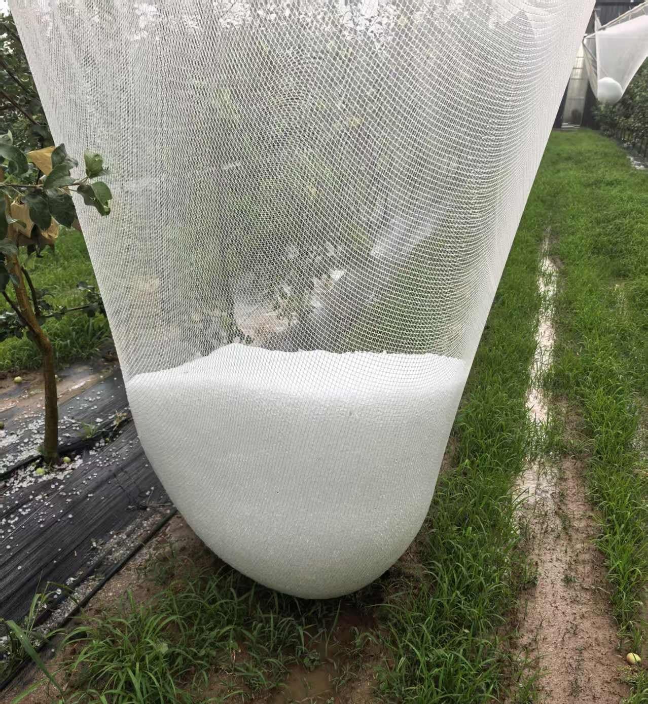 HDPE Diamond Anti-Hail & Anti-Bird Netting,40g/㎡,Tear/UV Resistant & Anti-Aging.Protection for Gardens,Farms,Orchards,Includes Work Gloves,3×7.5m/9.8×24.6ft