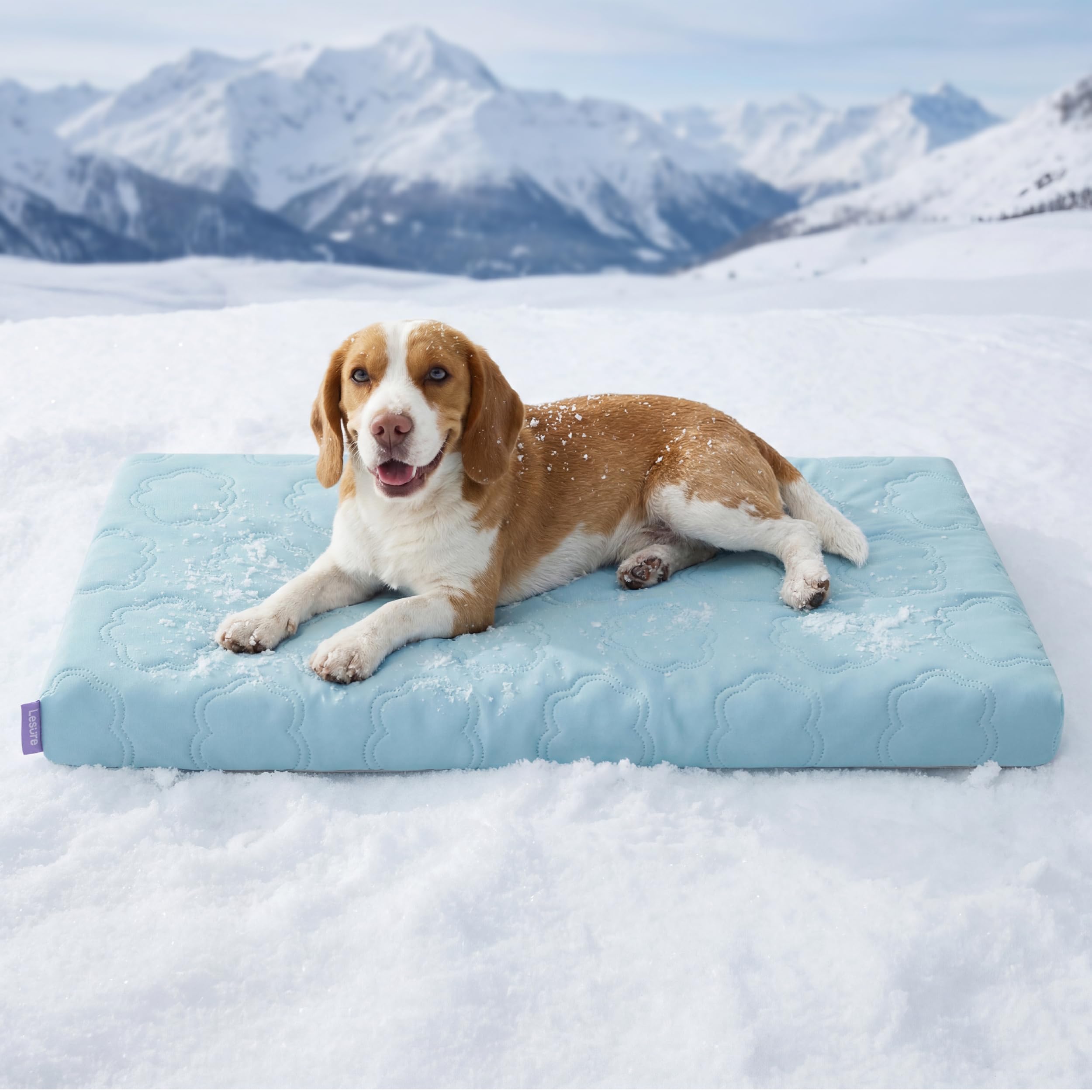 LE SURE Orthopedic Cooling Dog Beds Large Sized Dog, Q-Max>0.5 Cooling Mat with Removable Washable Cover, Breathable Egg Crate Foam Non-Slip Summer Pad for Active/Senior/Long-Haired Pets, 35x22 Inch