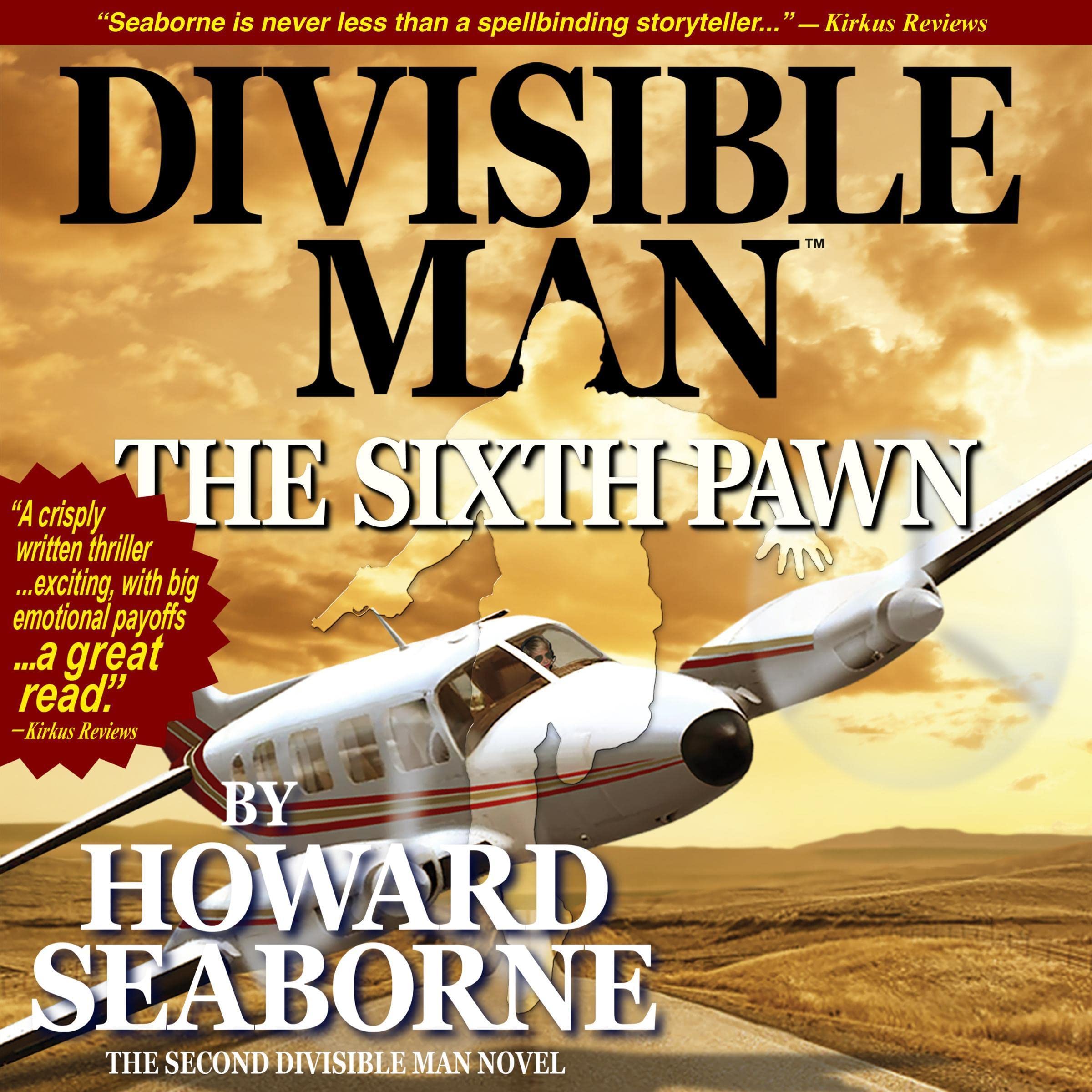 Cover art for The Sixth Pawn