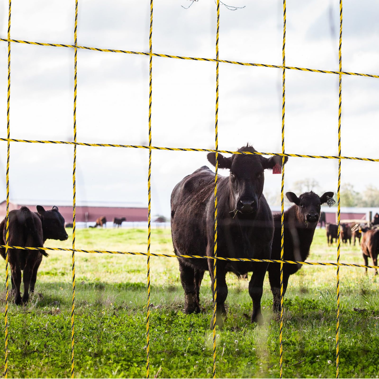 Filo Per Recinto Elettrico 1000 metri con 6 fili conduttori,Recinti Elettrici Recinzioni Elettrificate sezione Conduttore per Animali Mucche Cavalli maiali Galline