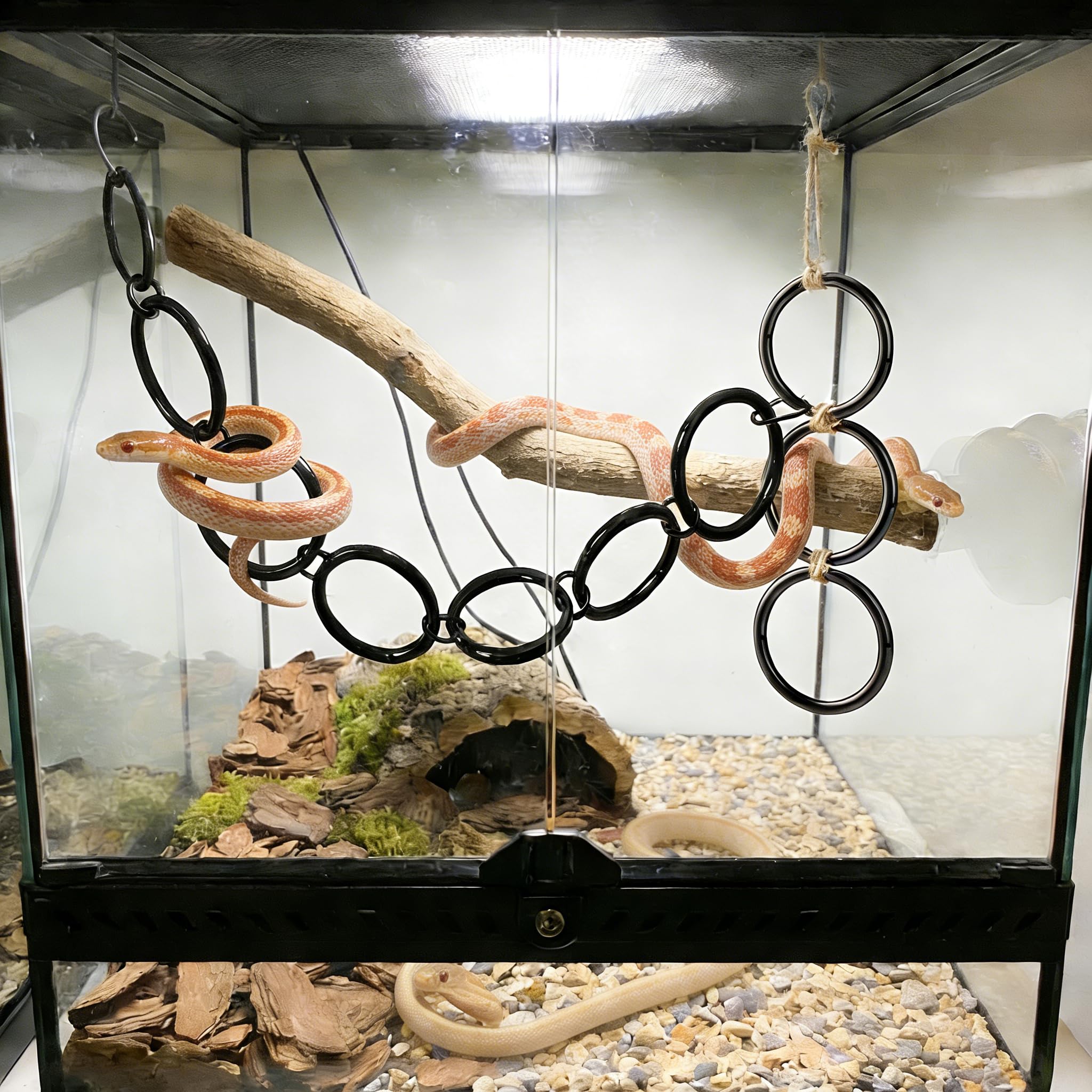 Schlangen Kletter Ringe für Ball Python und Corn Snake Reptilien Beschäftigungs Spielzeug für Schlangen Ball Python Terrarium Dekoration Reptilien Terrarium Zubehör Bearded