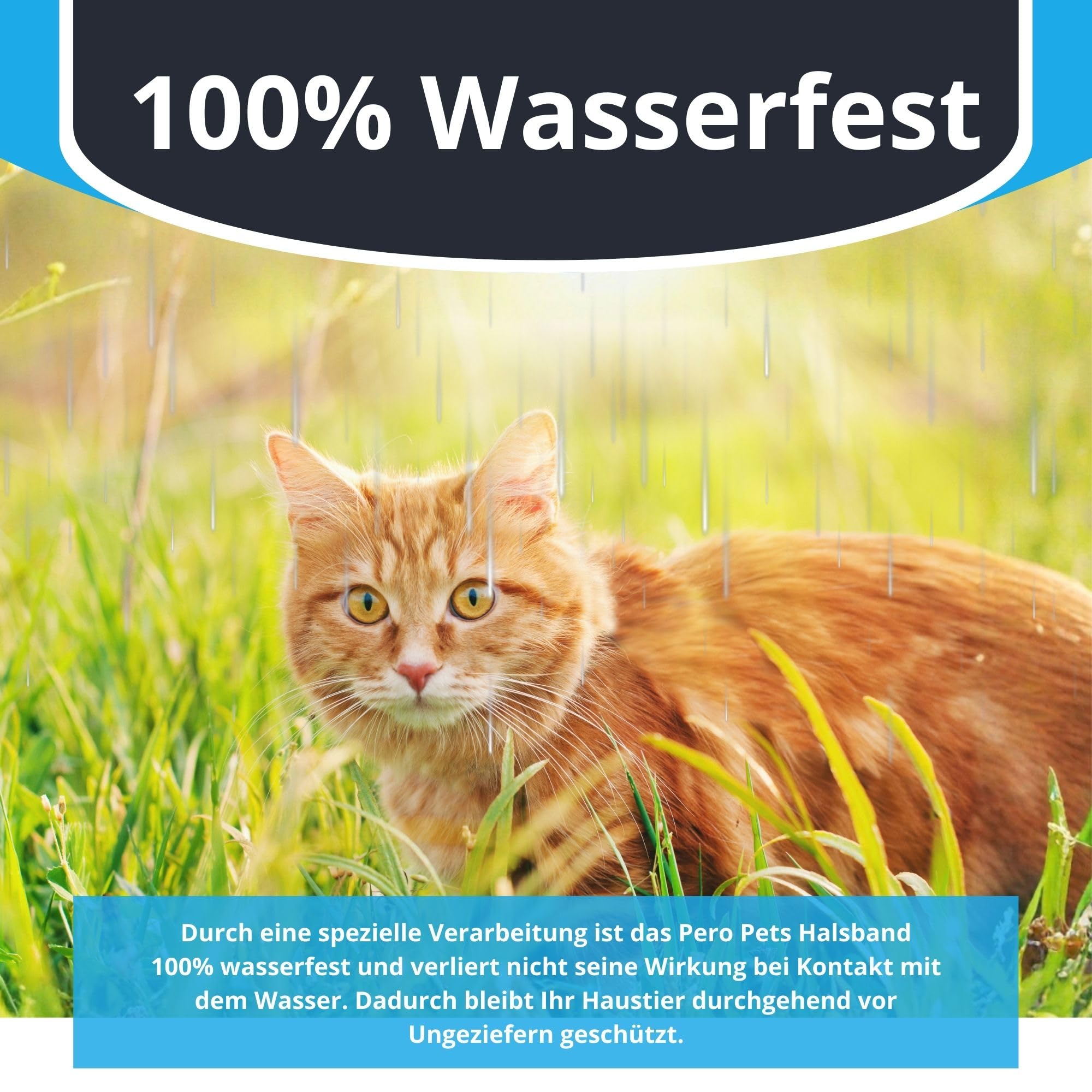 Pero Pets Zeckenhalsband für Hunde Katzen - Halsband gegen Zecken Flöhe Mücken Läuse – Zeckenhalsband Flohhalsband – 100% Natürlich & Wasserdicht – Wirksamkeit 8 Monate - 3