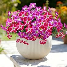 Geegoods Artificial Petunia Flowers for Outdoors, 8 Bundles UV Resistant Realistic Silk Faux Flowers, Fake Petunias for Planters, Hanging Basket, Porch and Garden Decor