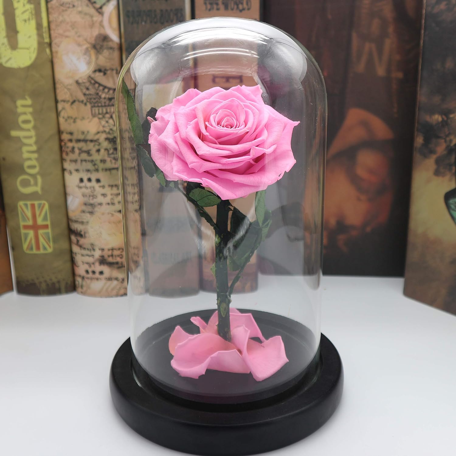 Premium Preserved Real Rose with Deluxe Package- Beauty and The Beast Rose, Gift for her (Blue)