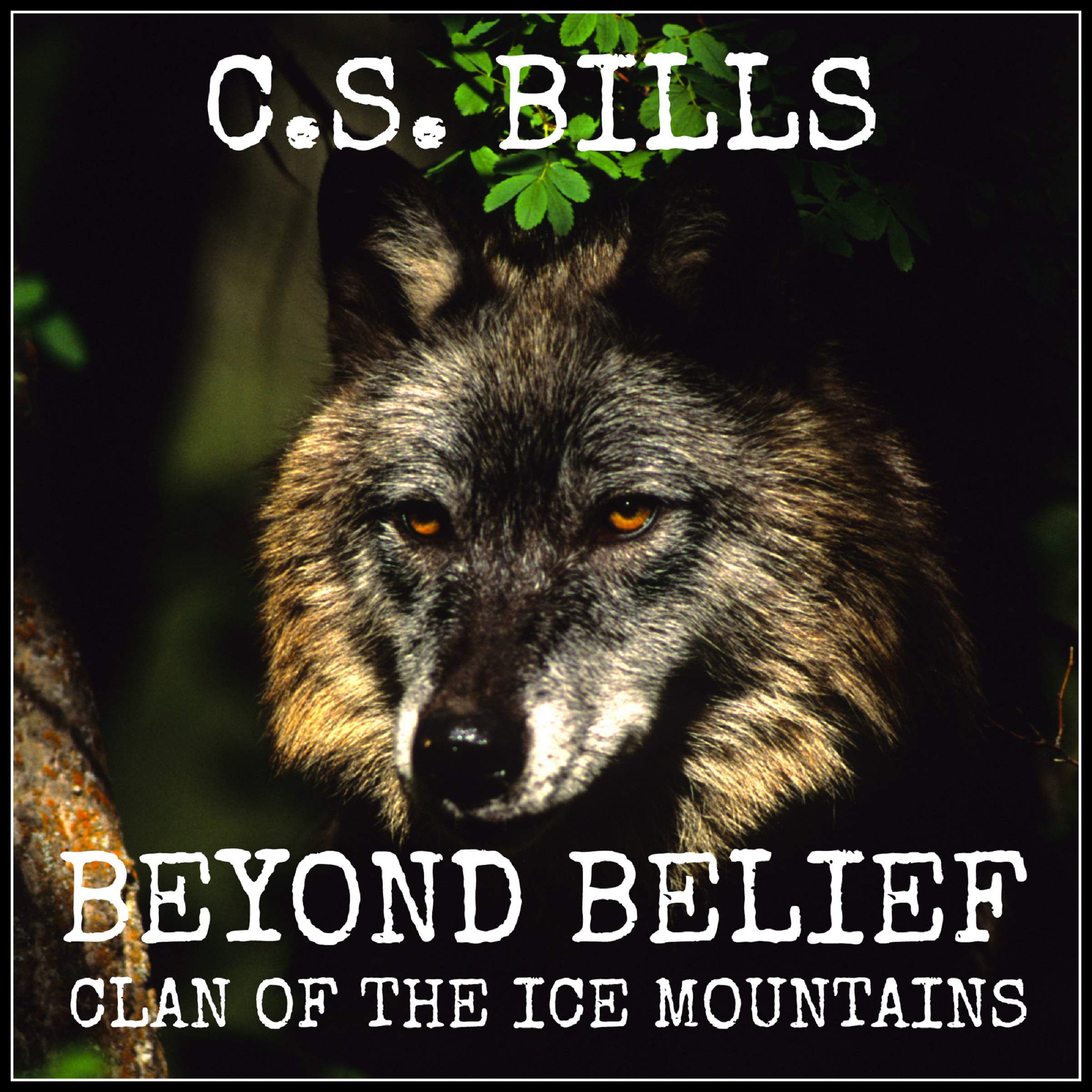 Cover art for Beyond Belief