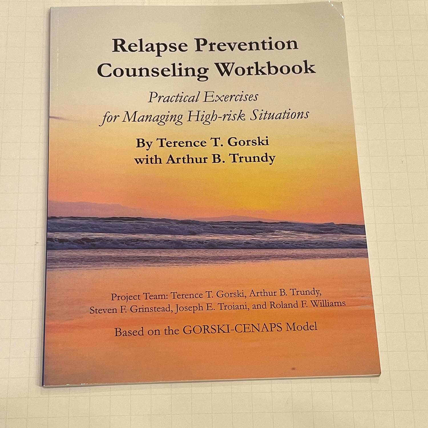 Relapse Prevention Counseling Workbook Managing HighRisk Situations