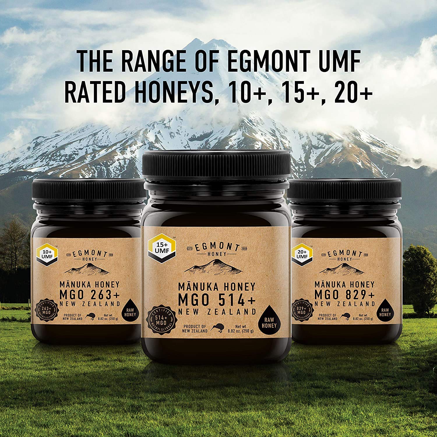 EGMONT HONEY Manuka Honey MGO 696+ UMF 18+ 8.8oz Original from New