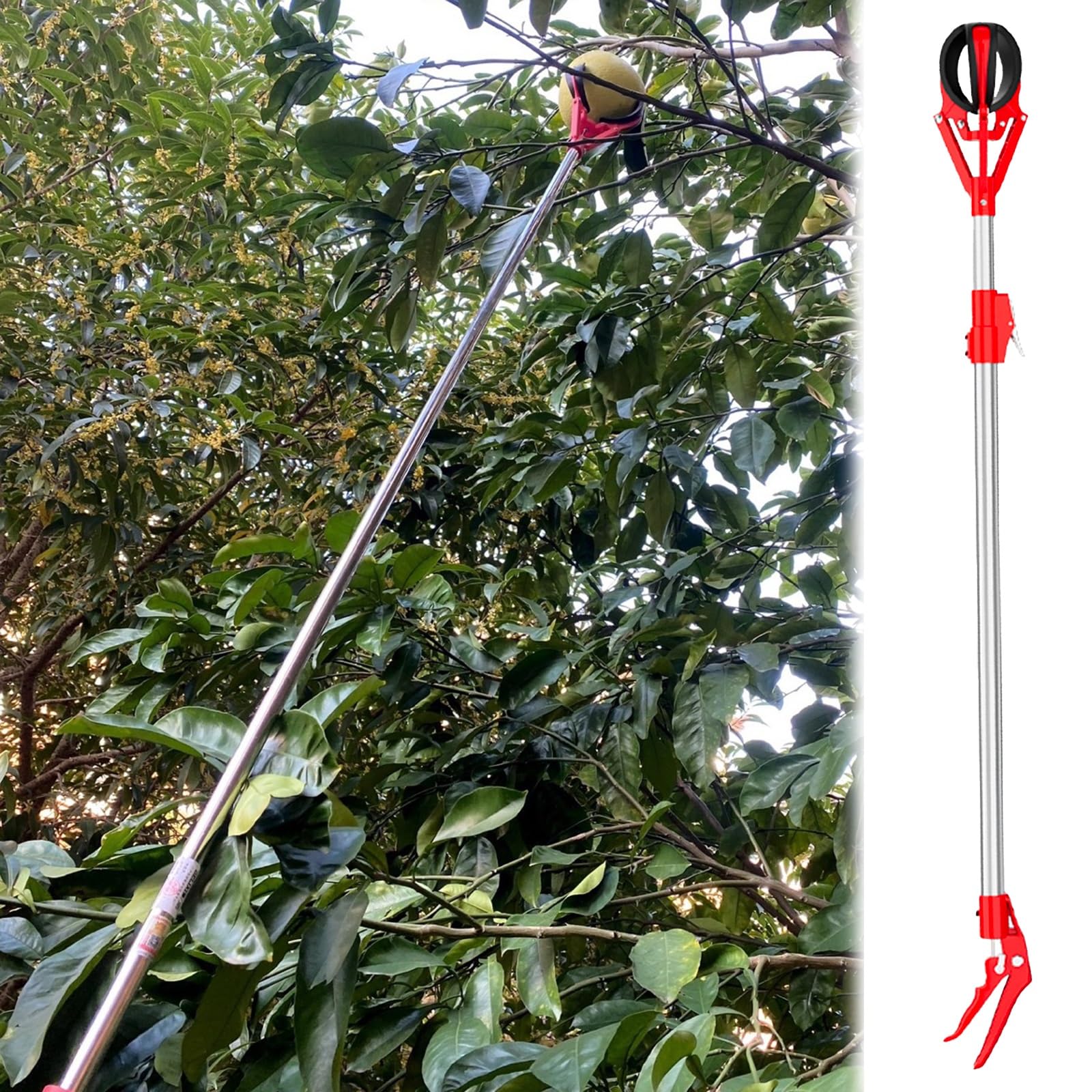 AMUFJJ cueille Fruit telescopique Pomme Rallonge De Perche Cueillette Fruits, Perches Pommes/Oranges/avocats/poires avec Panier Télescopique, Outil Préhension Extra Long(1m (3.3ft) - 1.5m (4.9ft))