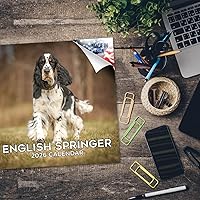 Vista 986 de Razas de Perros 2017