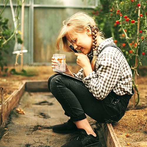 Miniatura 6 de Fabbay 9 piezas de flores prensadas grandes de pisapapapeles en colección de espécimen de resina, pisapapapeles de resina de escritorio para niños,