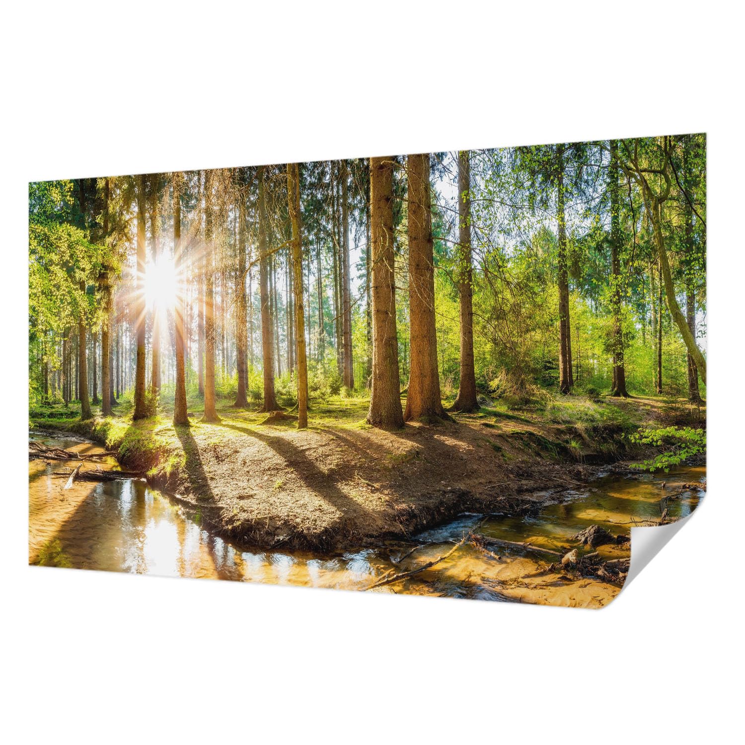 Papier peint panoramique idylle forestière pour une ambiance chambre nature et cocooning
