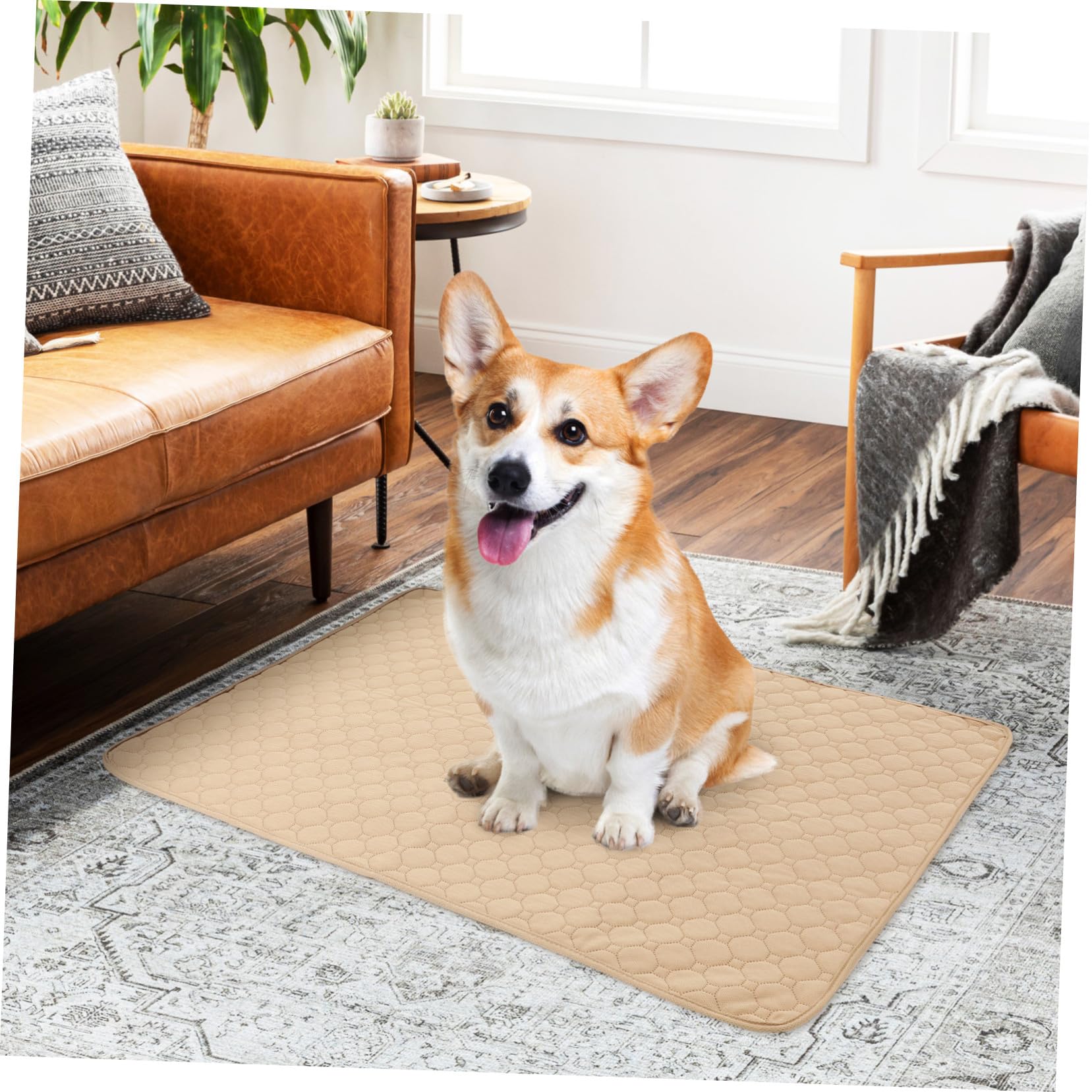 SHINEOFI 2 pezzi Tappetini Igienici Assorbenti per Cani e Gatti Impermeabili Riutilizzabili e Lavabili Fondo Antiscivolo per Addestramento Cuccioli e Protezione Mobili