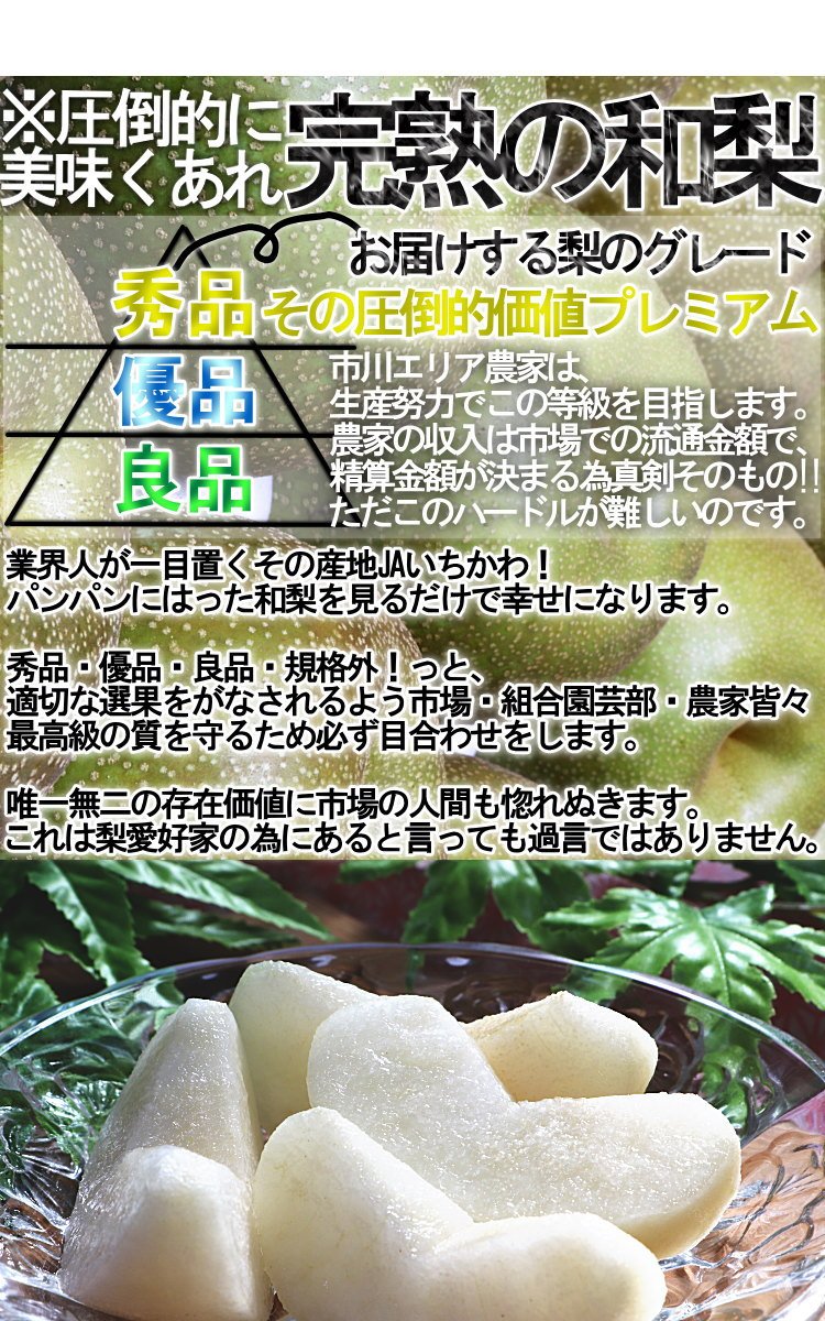 Amazon.co.jp: 市川梨 約5kg 8～16玉 幸水 秀品 大玉中心 贈答規格