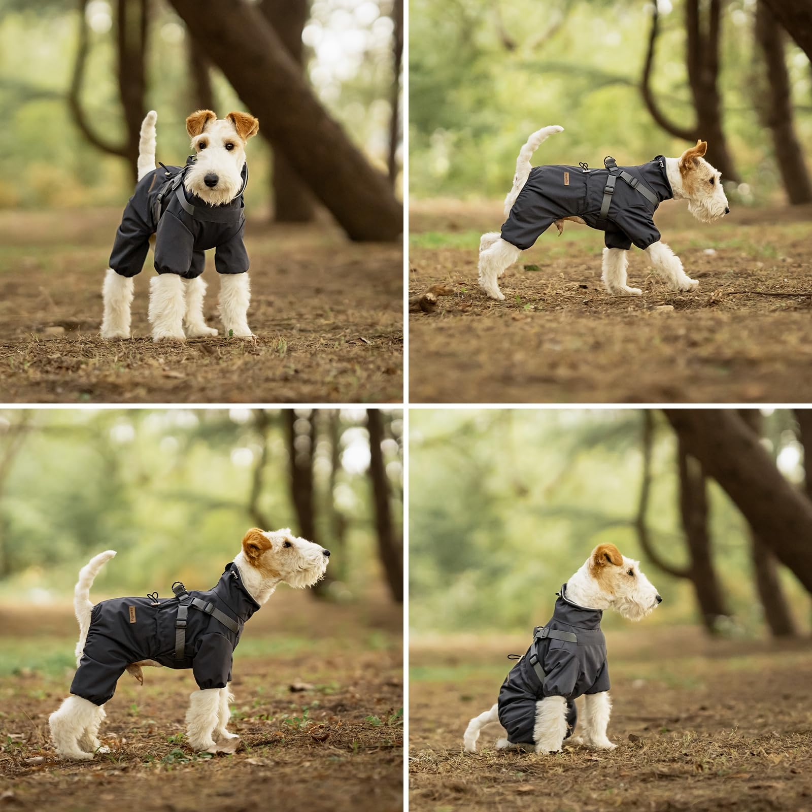 PAWBOSE Imperméables pour Chiens avec Harnais pour Chiens de Petite et Moyenne Taille, Veste de Pluie pour Chien Réglable, Manteau Pluie Chien Réfléchissant, 4 Jambes, Gris, M