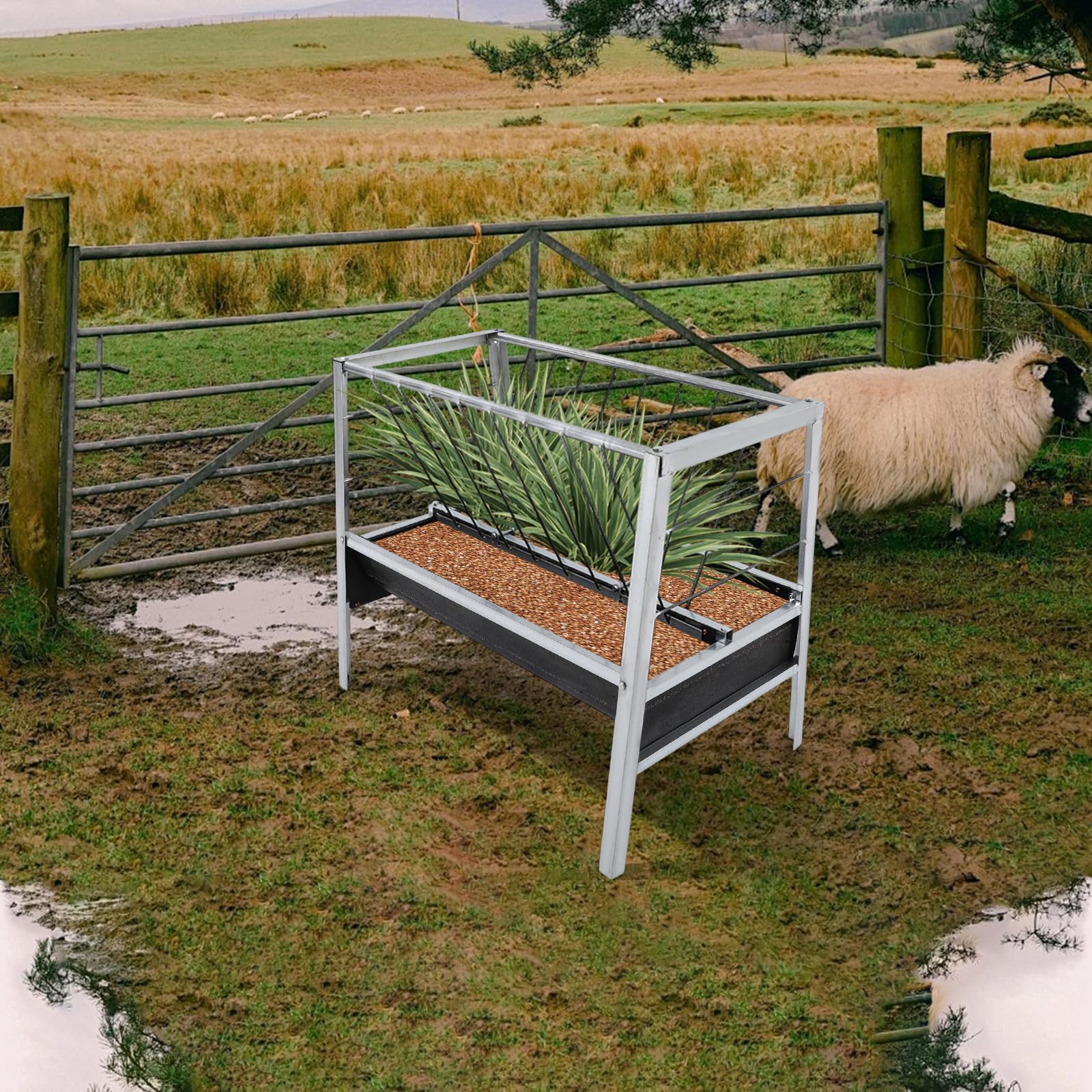 Comedero 2 en 1 para cabras y ovejas de gran volumen para pastos establos