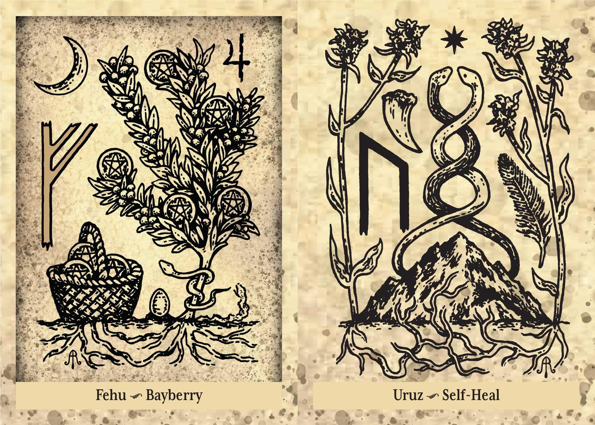 The Runes and Roots Oracle: A 36-Card Deck and Guidebook