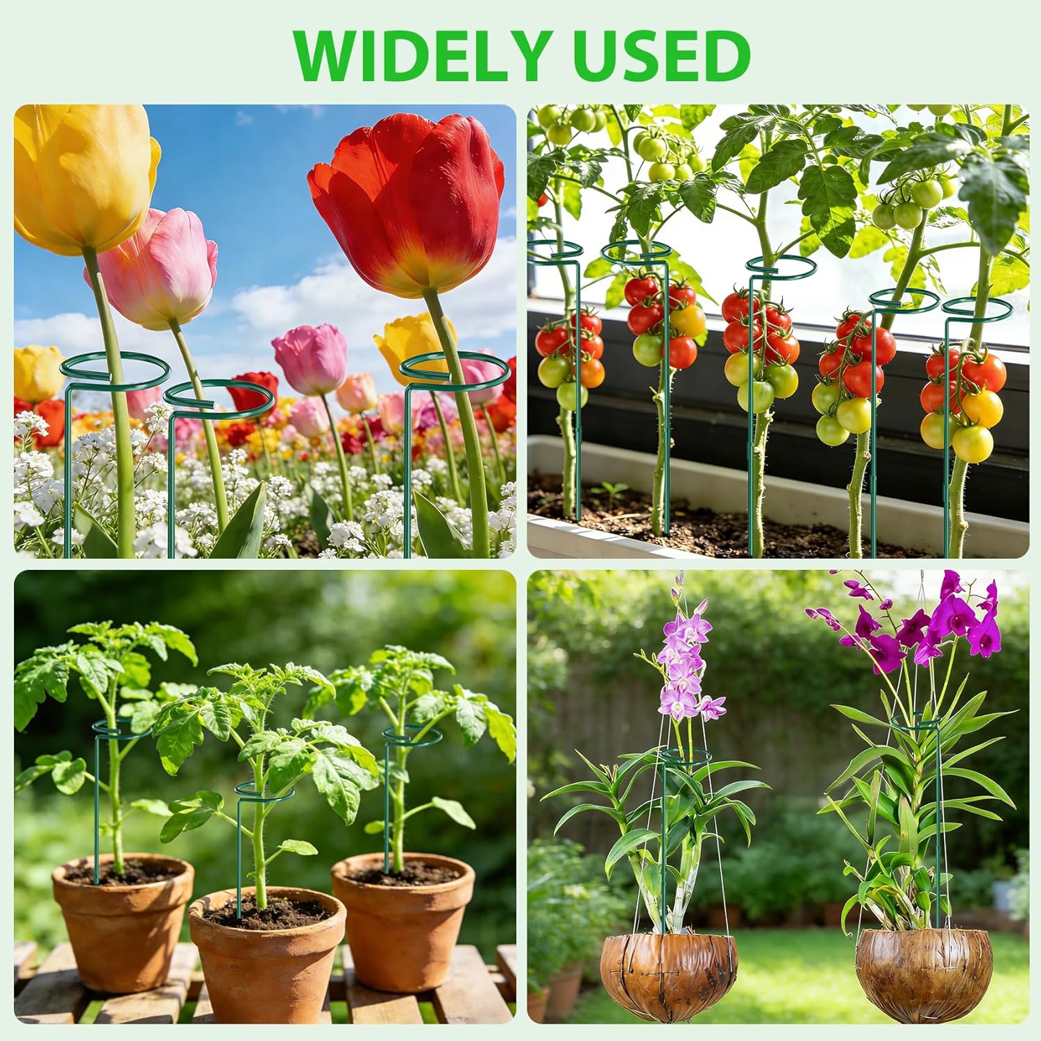 Unves 12 Pack Plant Support Stakes, 36 Inch Garden Single Stem Plant Stakes, Green Flower Garden Plant Cage for Outdoor & Indoor Plants, Sunflower, Hibiscus, Tomatoes with 100 Pcs Twist Ties