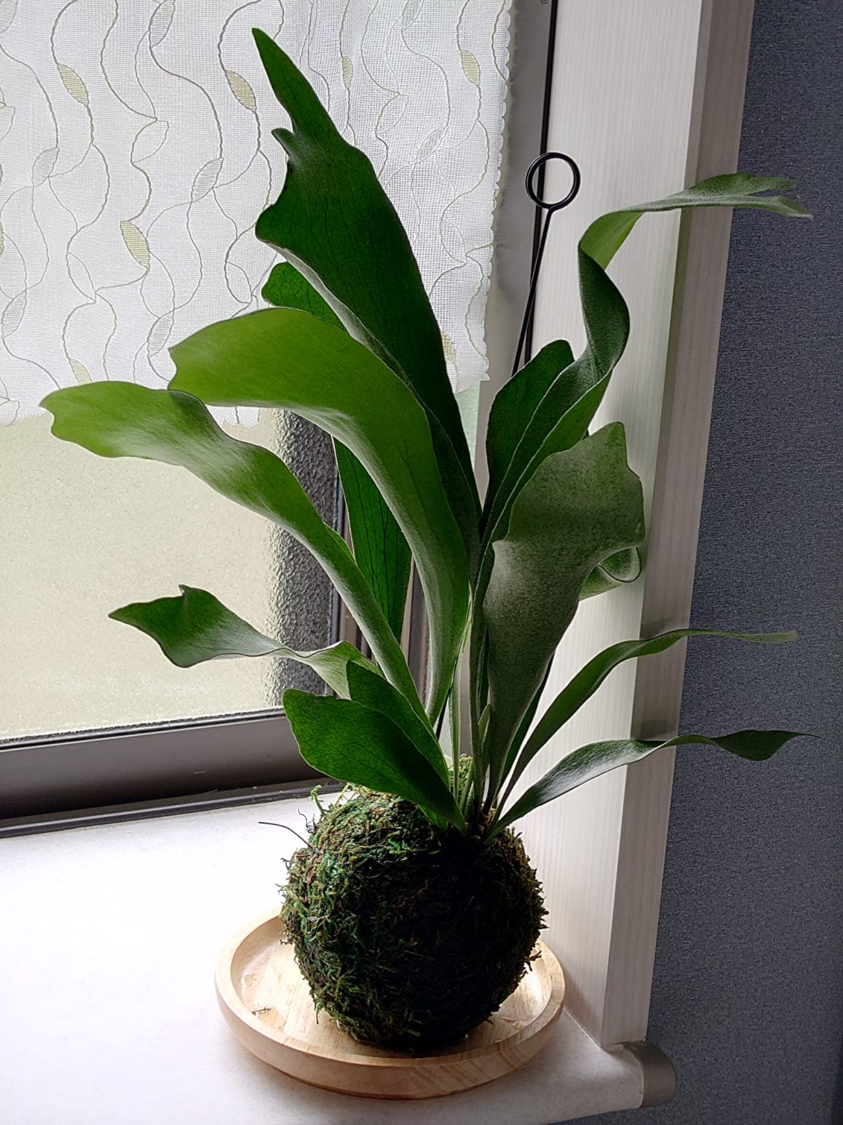 お客様イメージ