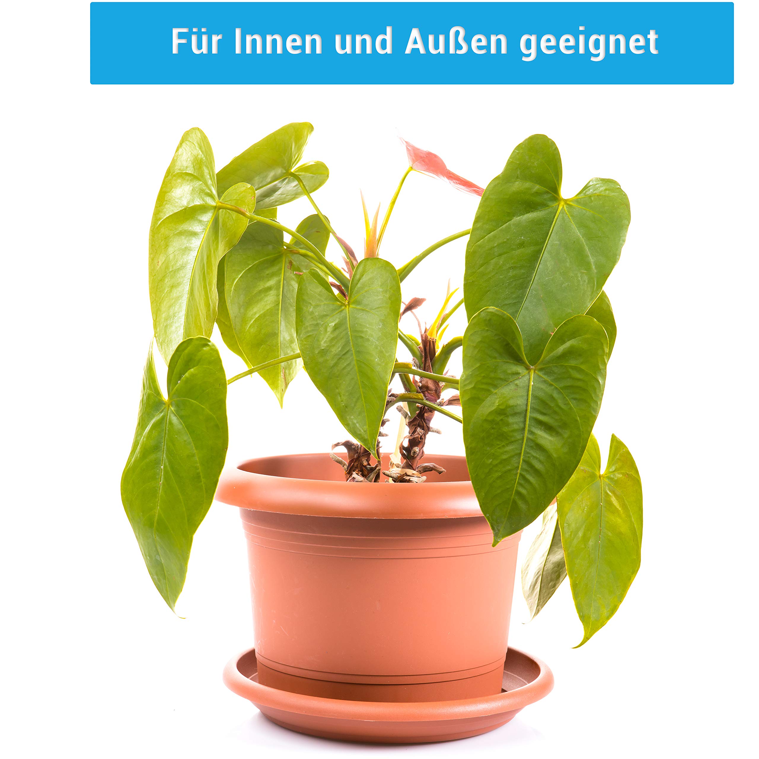 2 Pots De Fleurs En Terre Cuite – Diamètre 30 Cm – Avec Soucoupe – Résistants Aux Intempéries – Pour Intérieur Et Extérieur