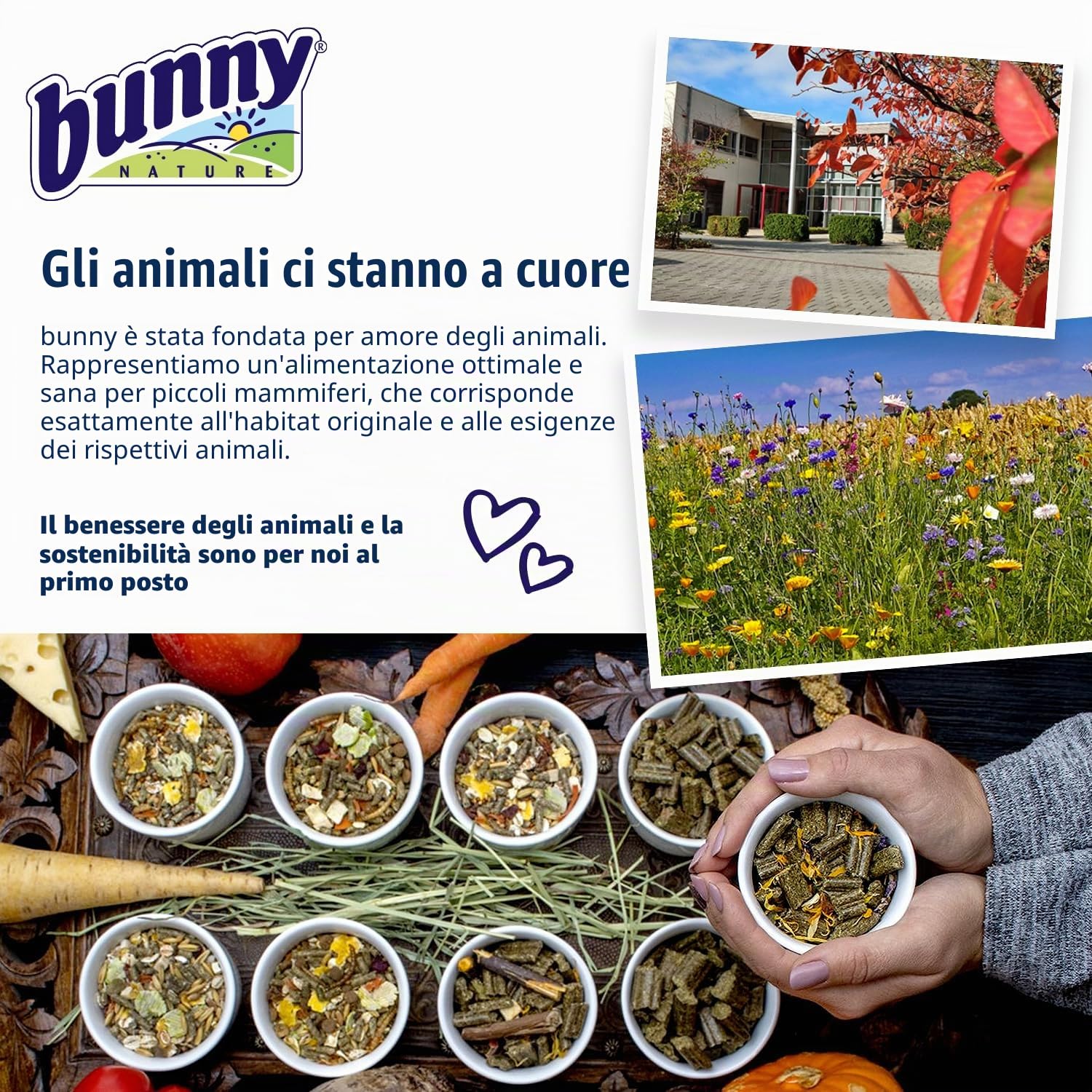 bunnyNature HamsterTraum Expert Mangime completo per criceti con sesamo, semi di erba e vermi di farina