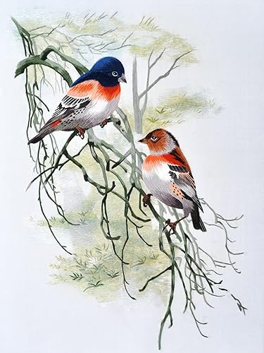 Miniatura 6 de MINGGUXIUYI Natural 100% Mulberry Silk Handmade Embroidery Thread Cross Stitch Threads Friendship Bracelets Floss Crafts Floss 120 Yards Each in 8