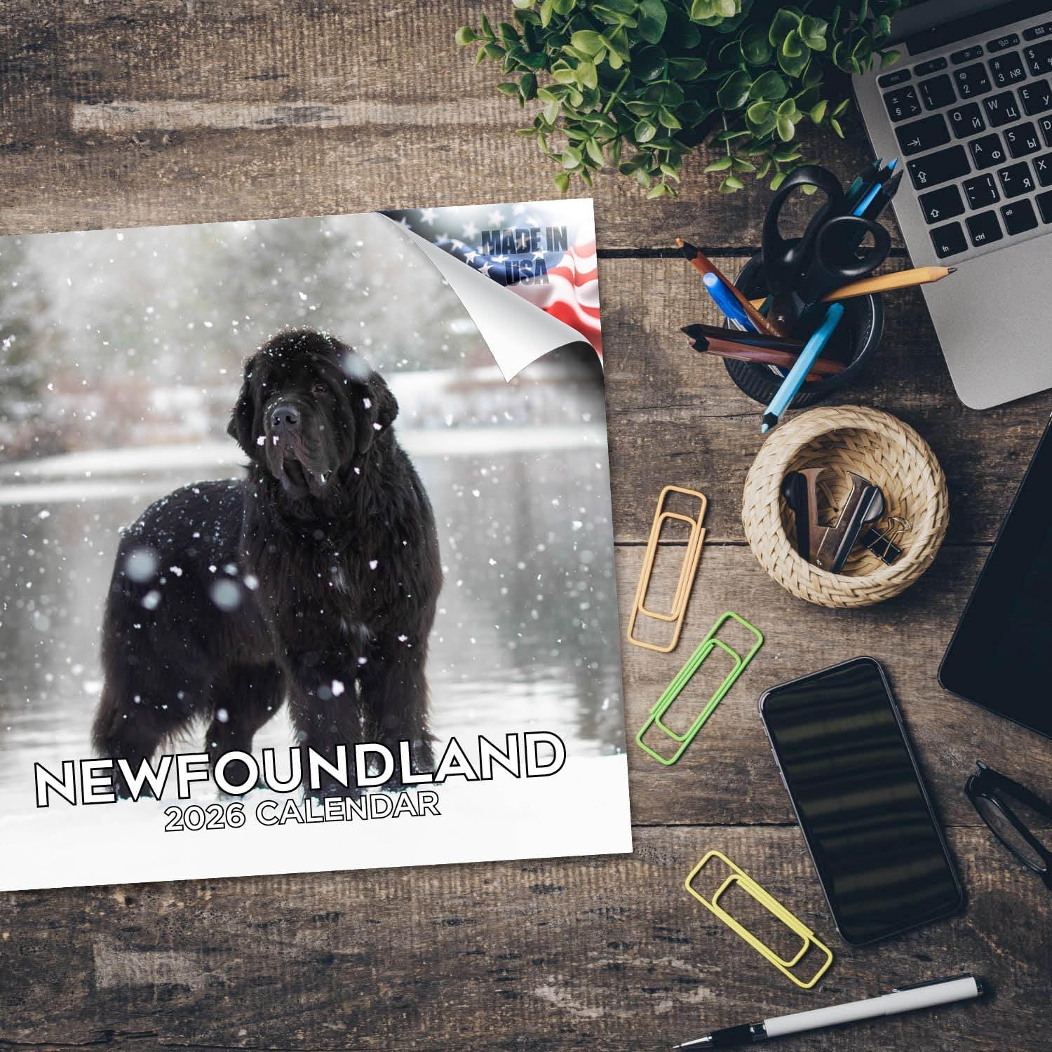 Newfoundland Calendar 2026 – 16-Month Dog Breed Wall Calendar by MegaCalendars – Large Daily Blocks, Thick No-Bleed Paper, Made in USA - Image 5