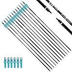 TIGER ARCHERY 30Inch Carbon Arrow Practice Hunting Arrows with Removable Tips for Compound & Recurve Bow(Pack of 12) (Light Blue White)