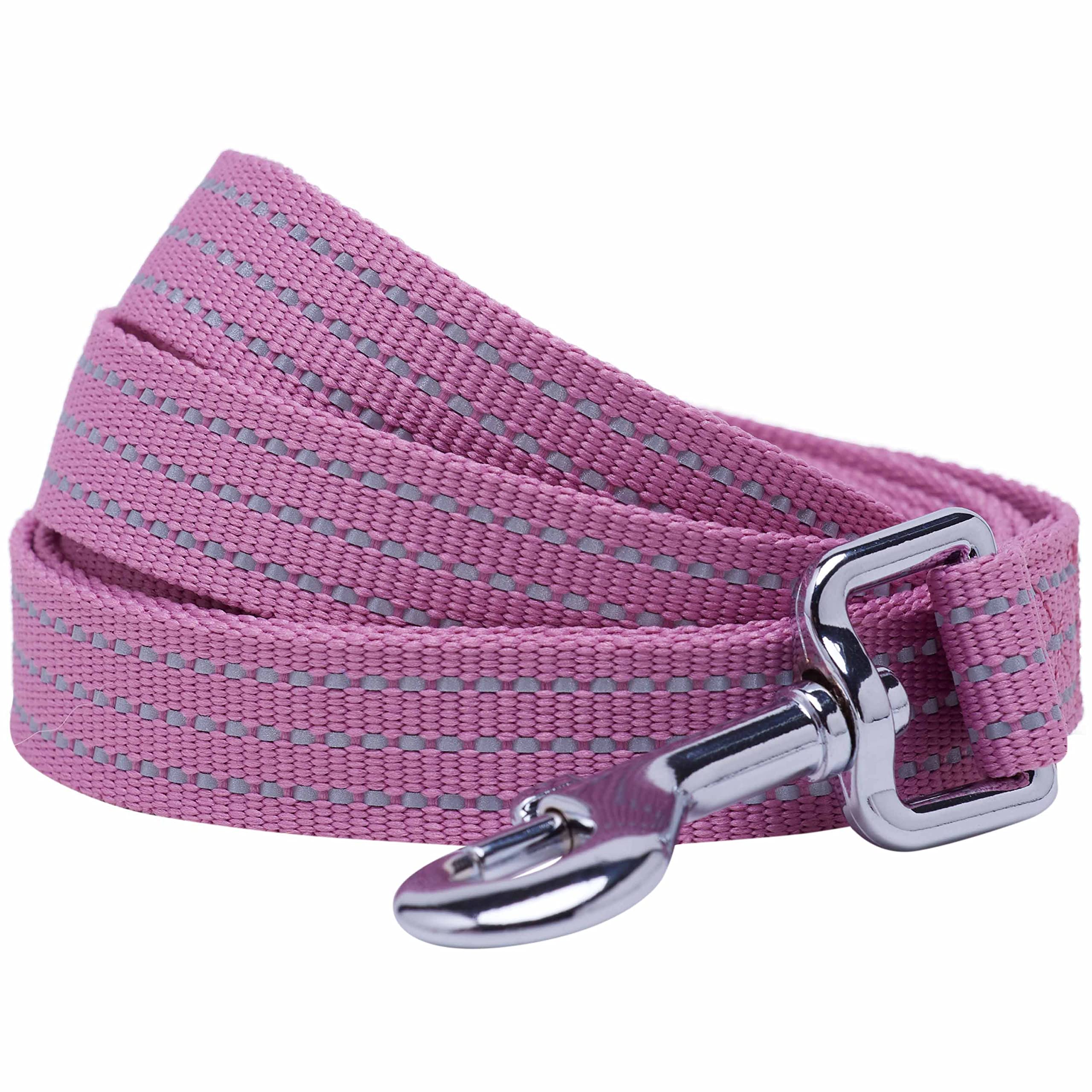 Blueberry Pet Essentials Reflective Better Basics Dog Leash, Mauve Orchid, 4 ft x 1", Large, Leashes for Dogs