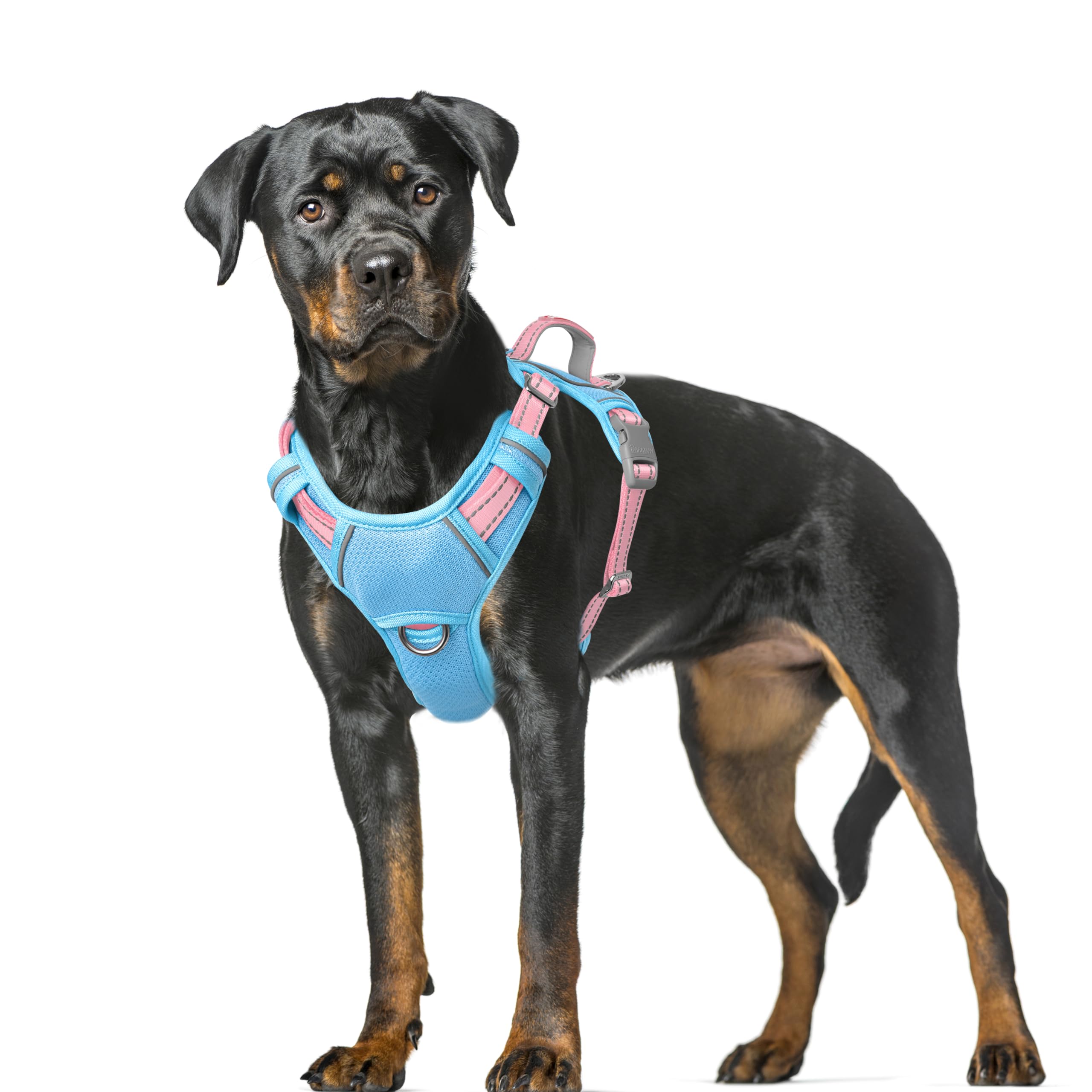 BARKBAY No Pull Dog Harness Large Reflective Dog Harness with Front Clip and Easy Control Handle for Walking Training Running with ID tag Pocket(Baby Blue & Baby Pink,XL)