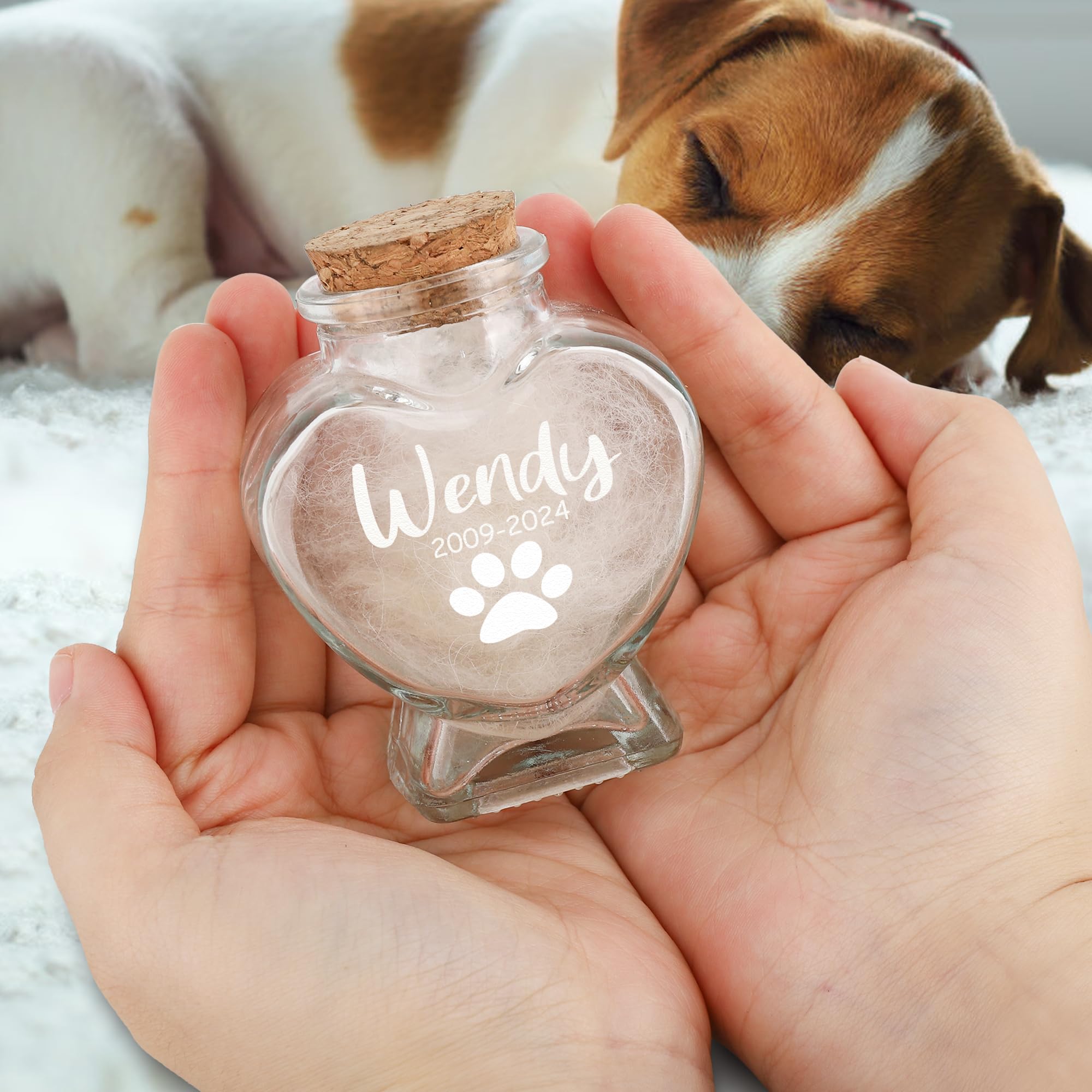 Barattolo commemorativo personalizzato in pelliccia di animale domestico, bottiglia commemorativa per peli di animali domestici, ricordo personalizzato per cani e gatti con nome animale domestico