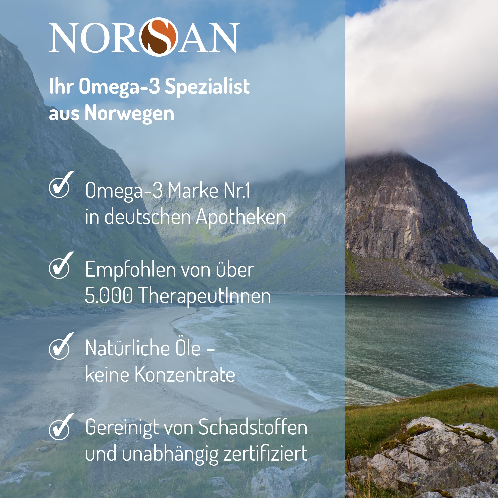 NORSAN TOTAL Zitrone Online Premium Omega 3-2er Pack (2x 200 ml) Fischöl hochdosiert mit 2.000mg Omega 3 pro Portion - Omega Öl mit EPA & DHA - Premium Öl mit 800 IE Vitamin D3