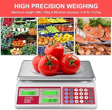 CAMRY Commercial Price Computing Scale, 66lb/30kg, Dual LCD | Stainless Steel Platform; Green Backlight; Battery Powered; KG/LB Conversion; For Deli and Farmers Market