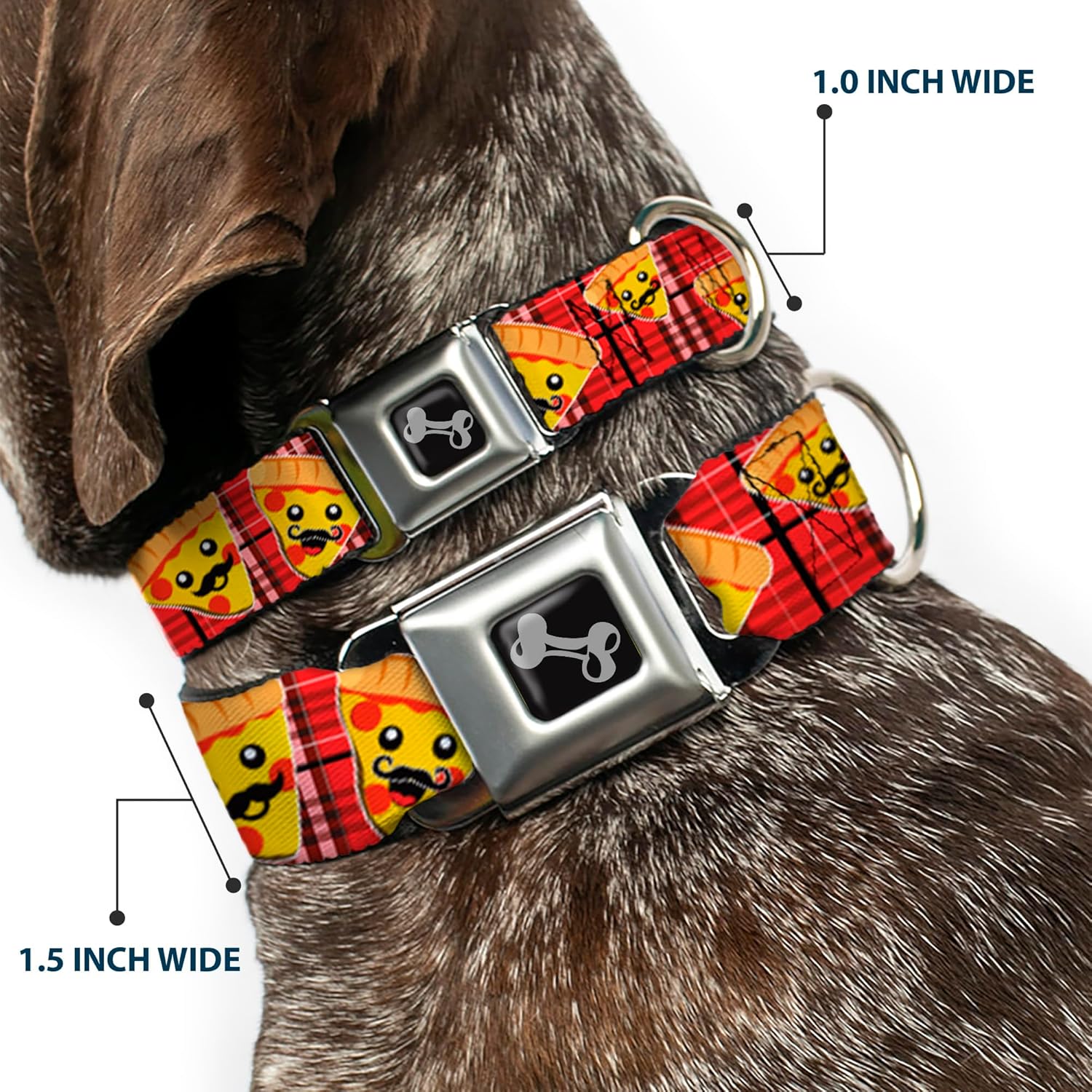 Dog Collar Seatbelt Buckle Pizza Man Plaid Red 9 to 15 Inches 1.0 Inch Wide, DC-W34237-S