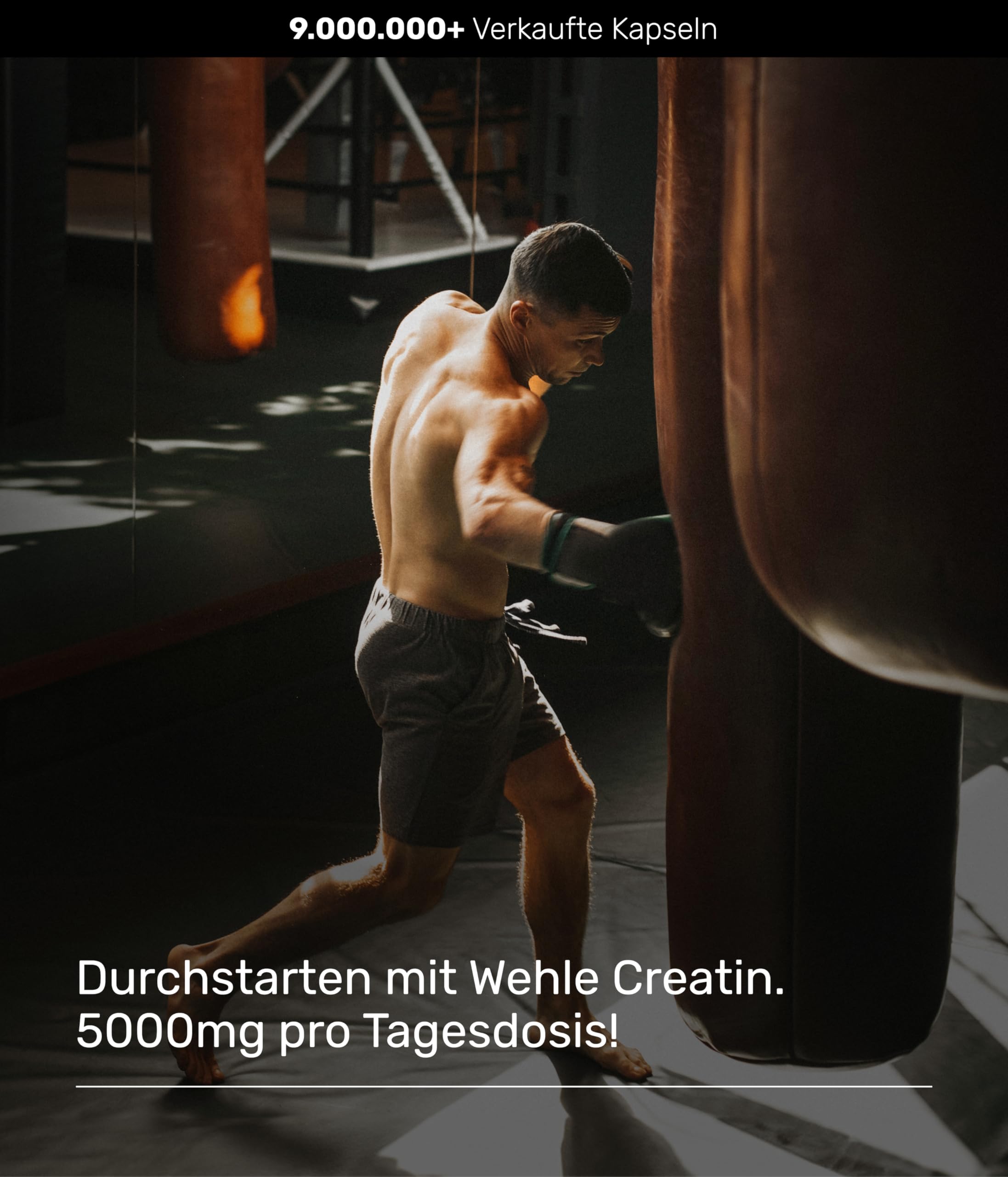 Creatin Kapseln hochdosiert 5000 mg Creatin Monohydrat pro Tagesdosis, 300 vegane Kapseln – ohne Zusatzstoffe – Vegan (300 Kapseln) Wehle Sports – Verpackung kann variieren.