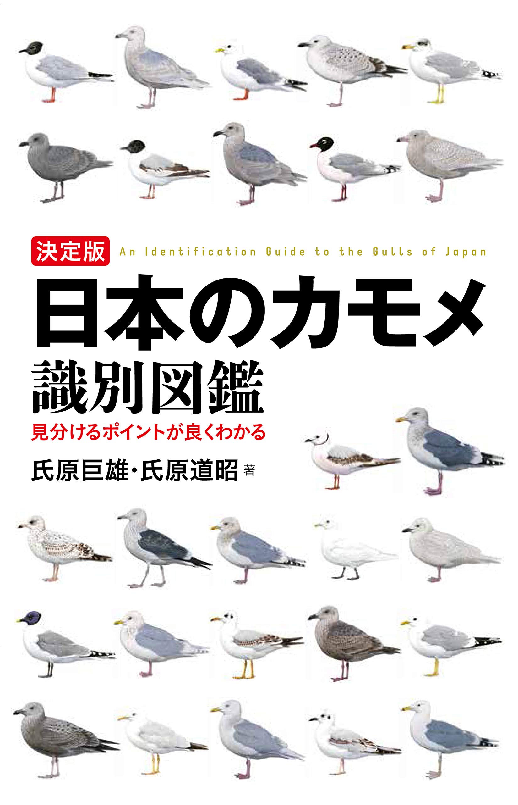 決定版 日本のカモメ識別図鑑 見分けるポイントが良くわかる 巨雄 氏原 道昭 氏原 本 通販 Amazon
