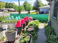 Review Image by MW MW