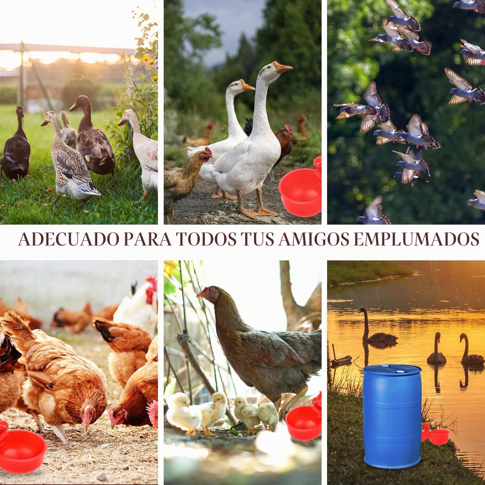 6 PCS Bebedero Gallinas con Taladro, DIY Agua para Pollos Automática Kit para Aves Palomas Pollos Patos Hens, Suministros Comedero de Pollo