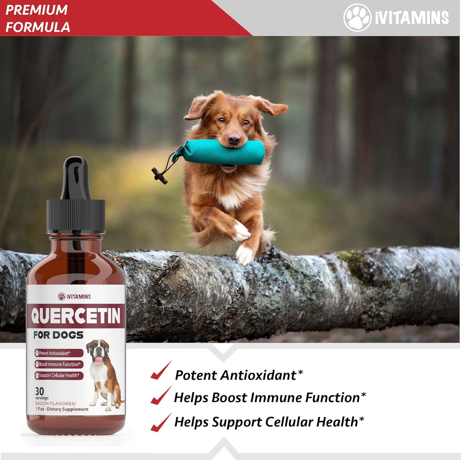 Quercetin for Dogs | Dog Allergy Relief | Quercetin for Dogs Allergies | Dog Allergy | Quercetin | Dog Allergy Support | Quercetin Dog | Dog Allergies | Quercetin Supplements | Bacon Flavor (2 Pack)
