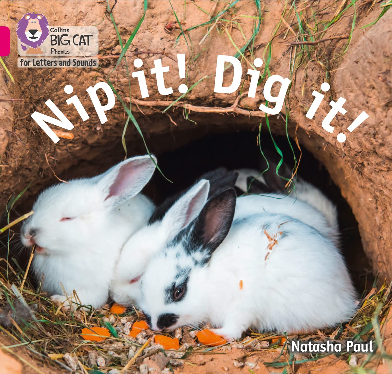 Nip it! Dig it! by Natasha Paul,  Collins Big Cat - 9780008409777