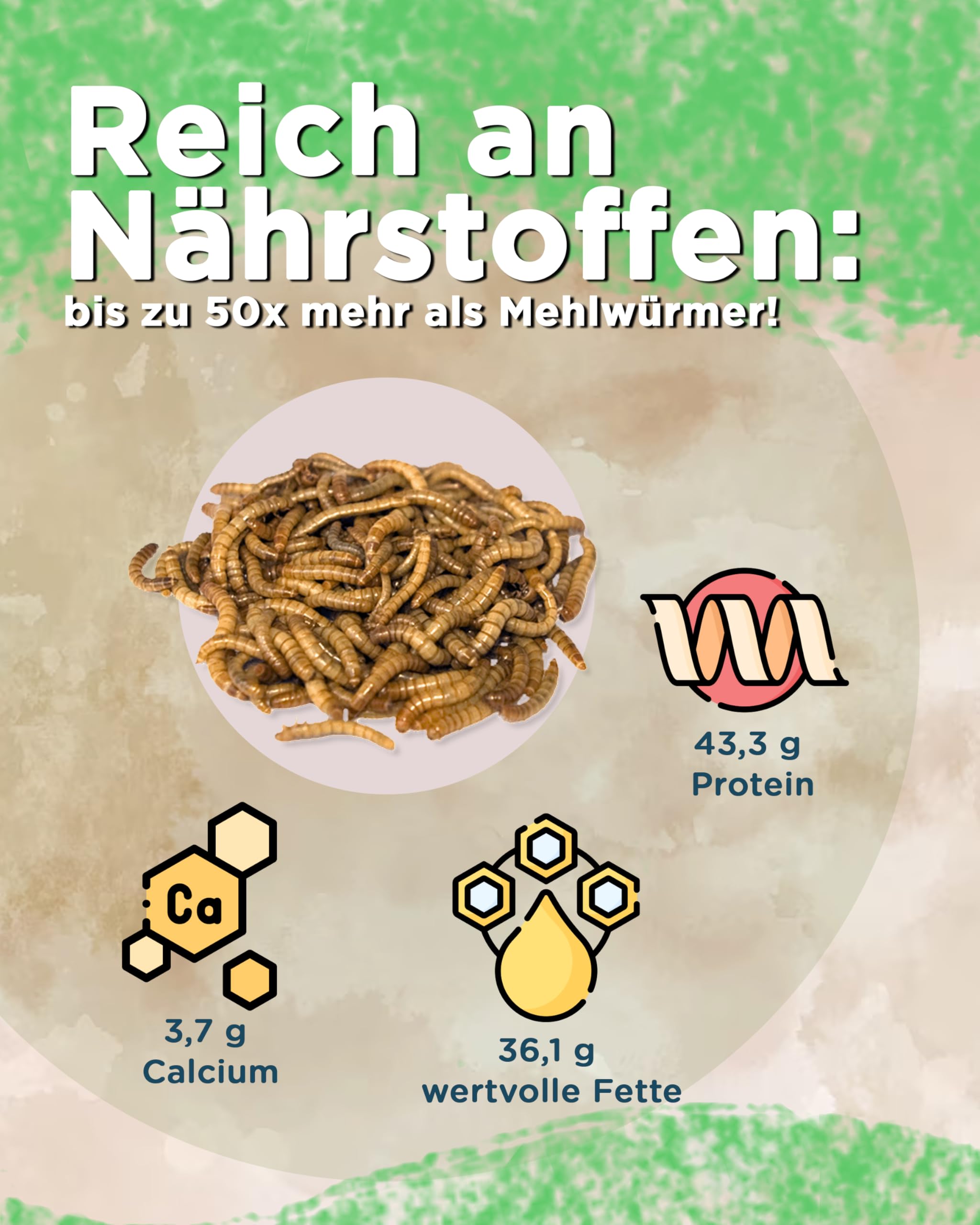 Futterbauer 10kg Soldatenfliegenlarven getrocknet, Premium Vogelfutter, Fischfutter, Futter für Reptilien und Nager, Proteinreiches Naturfutter wie Mehlwürmer