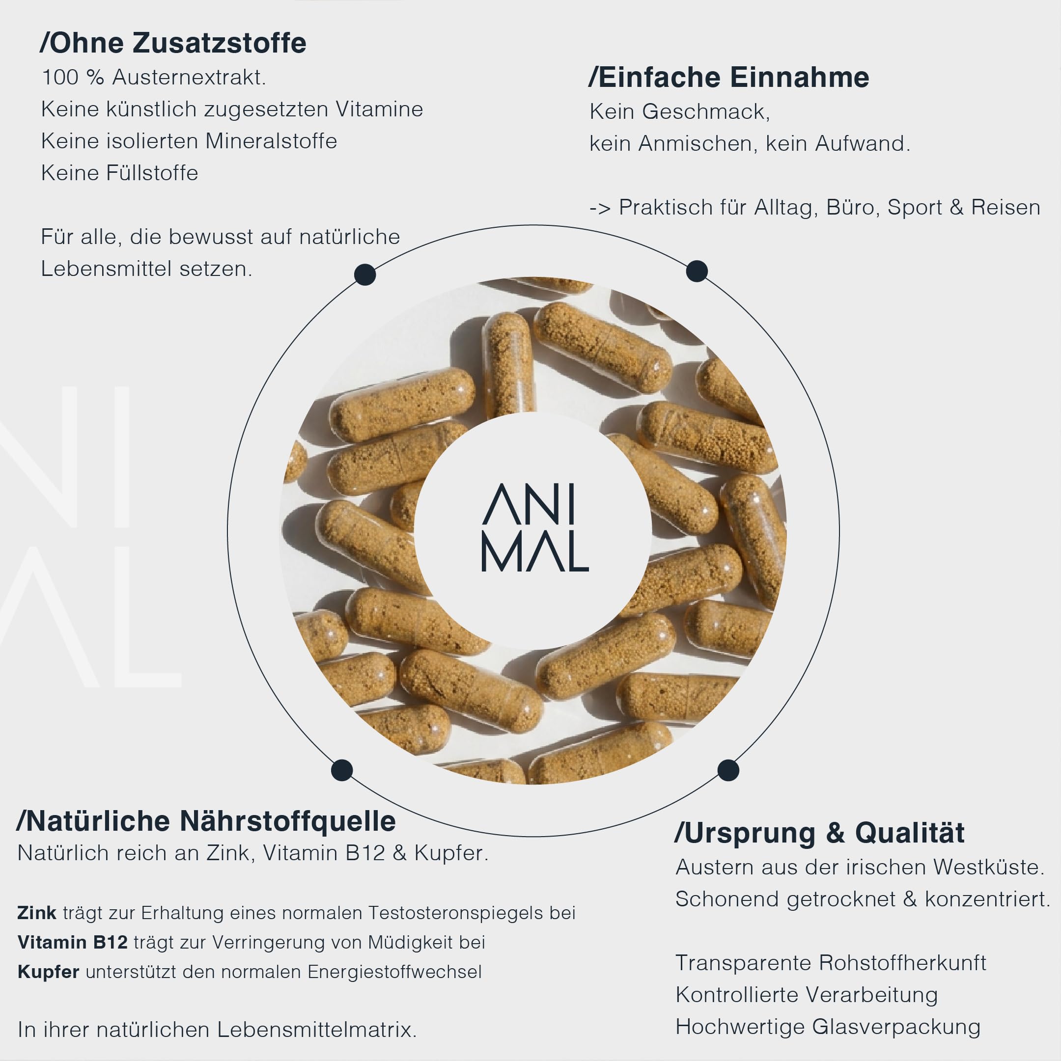 Oyster Extract – Austern Kapseln aus Irland, 120 Kapseln à 300 mg, natürliche Quelle für Zink, Kupfer & Vitamin B12, ohne Zusätze
