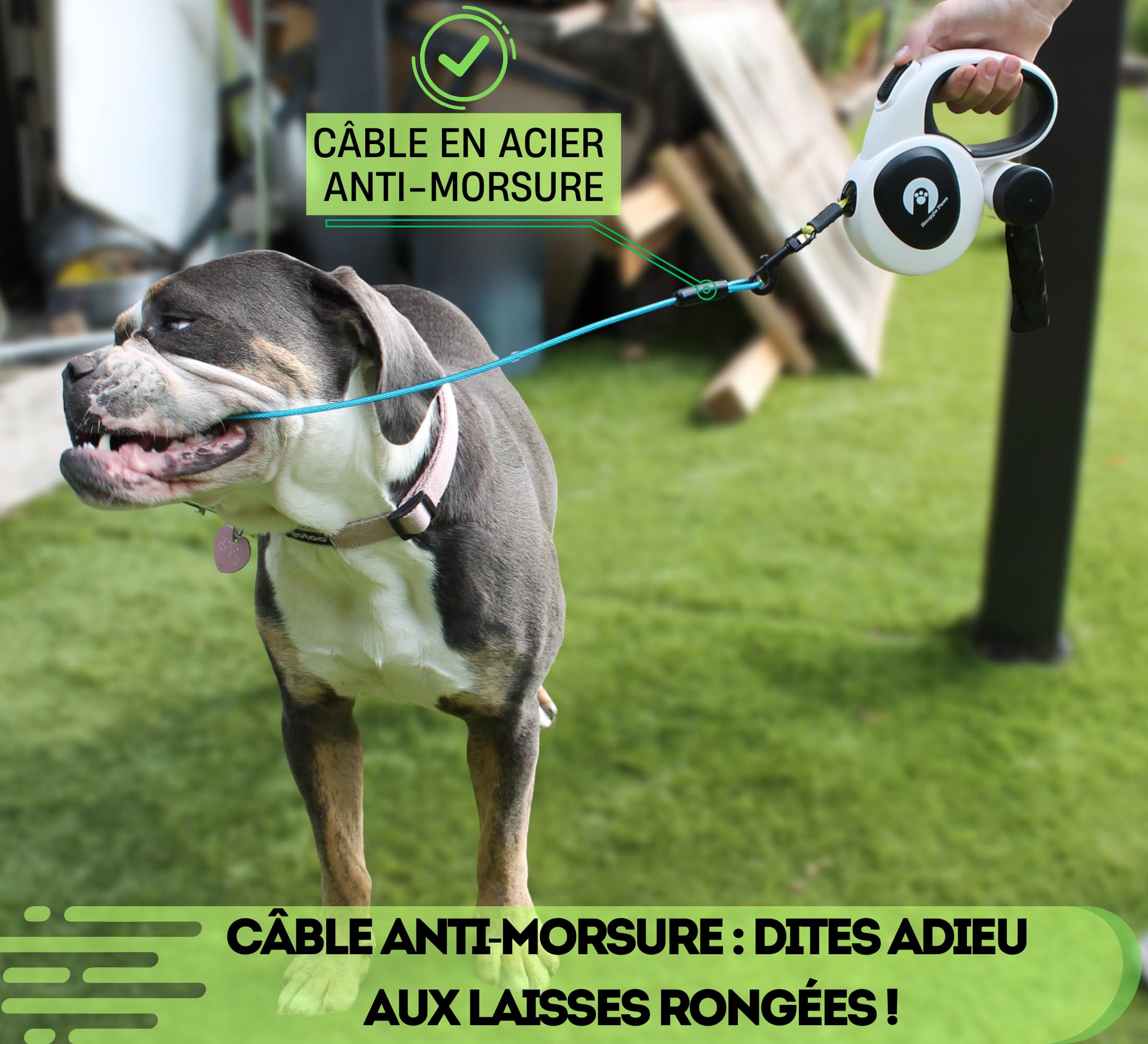Snuggle Paws Laisse Chien Enrouleur & Rétractable 5m Tout-en-Un : LED Puissante, Distributeur Sacs à Crottes, Câble Anti-Morsure, Bande Réfléchissante | pour Petits Chiens Jusqu’à 20kg