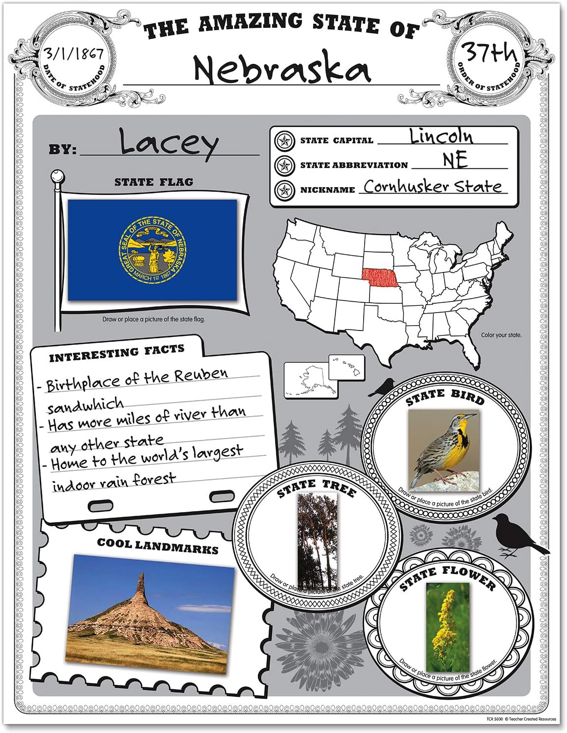 Teacher Created Resources Amazing State Poster Pack (TCR5800) image 4