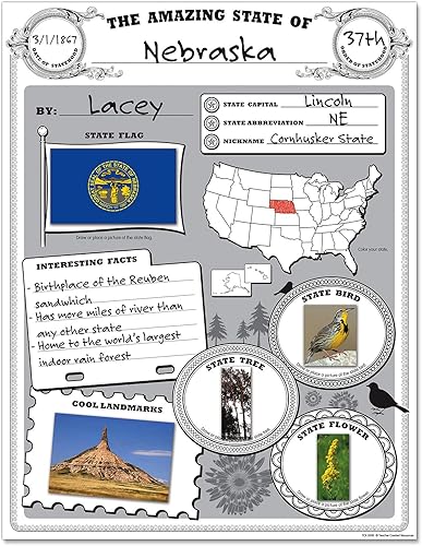 Miniatura 4 de Teacher Created Resources Paquete de póster Amazing State, negro, blanco, 17 x 22 pulgadas