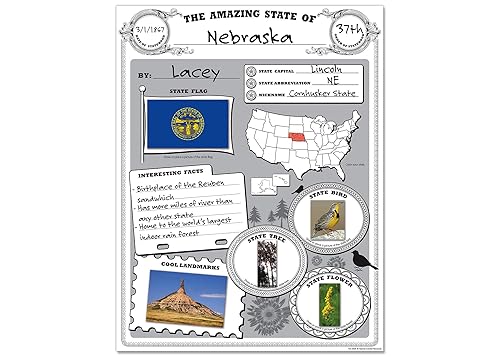 Miniatura 4 de Teacher Created Resources Paquete de póster Amazing State, negro, blanco, 17 x 22 pulgadas