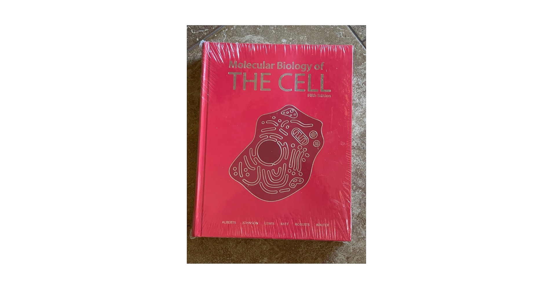 健康+医学 MOLECULAR BIOLOGY OF THE CELL SEVENTH EDITION Bruce s 050L3D Molecular Biology of the Cell: Bruce Alberts: 9780393884852