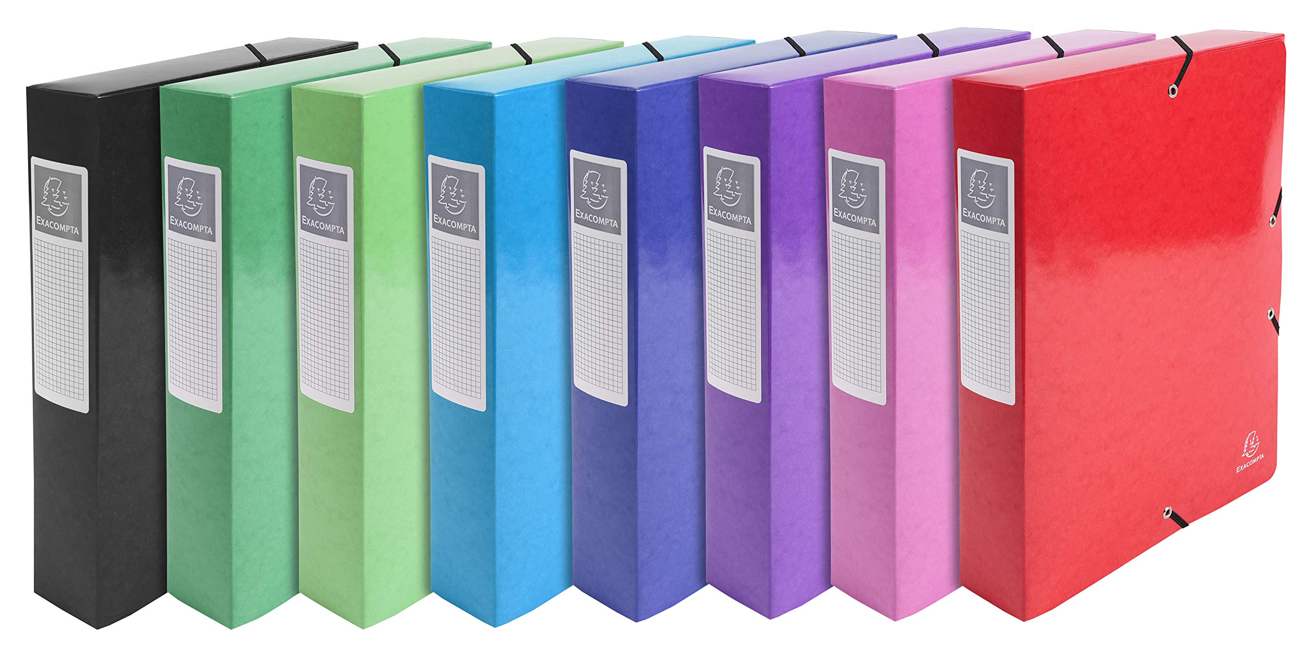 Boite de classement exabox en carte lustree nature future - dos de 60mm - 24x32cm pour a4